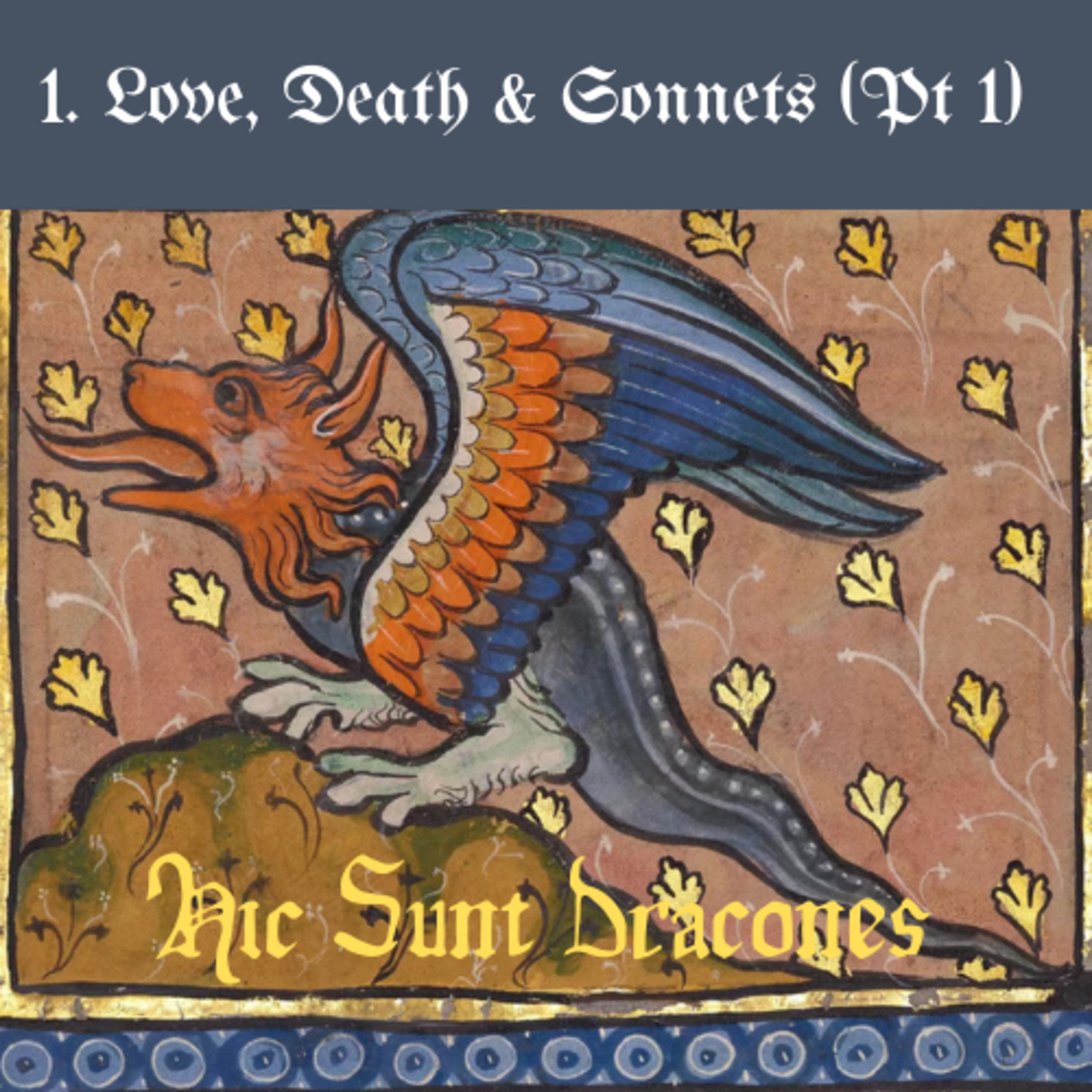 Here Be Dragons｜此处有龙｜Hic Sunt Dracones