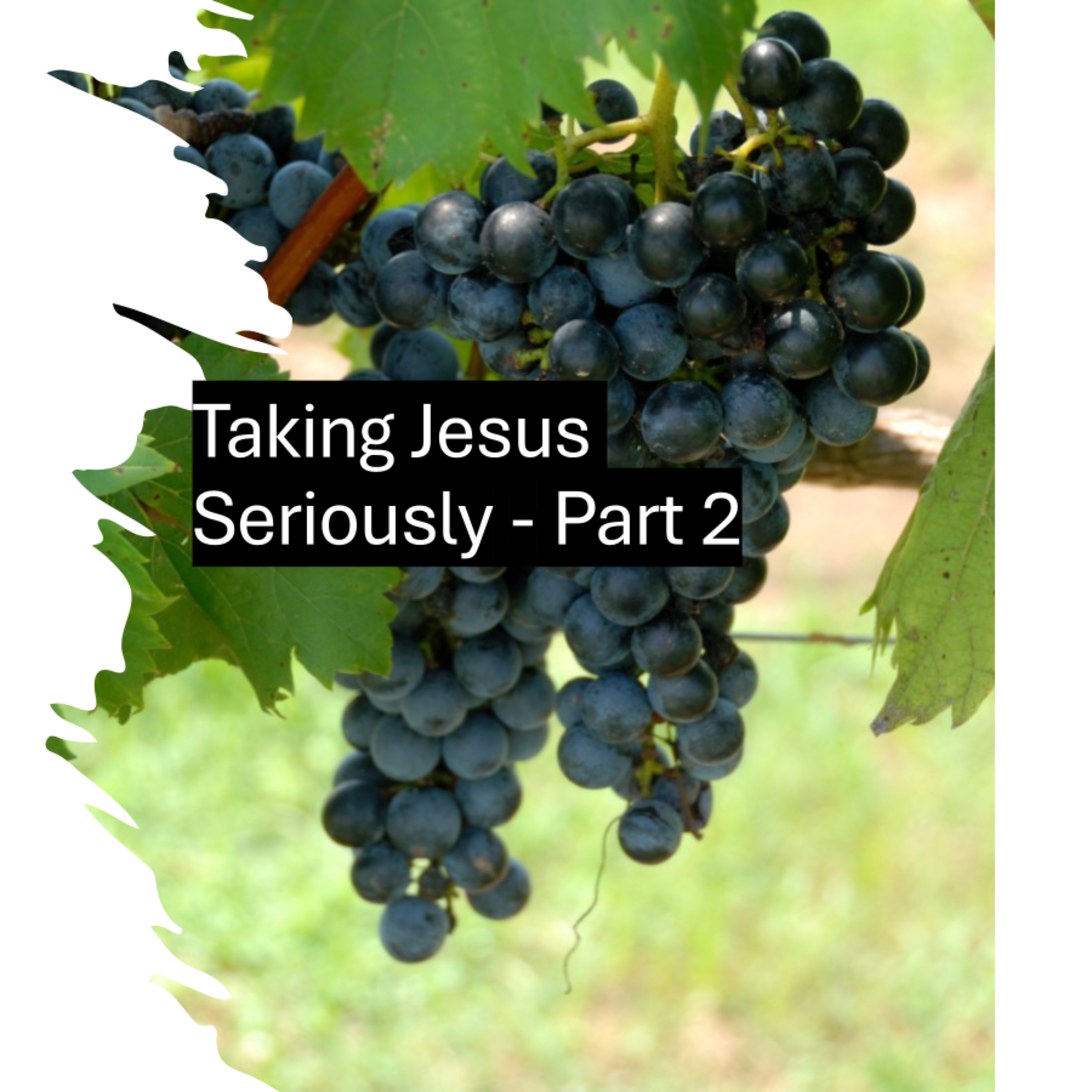 Waynetown Baptist Church