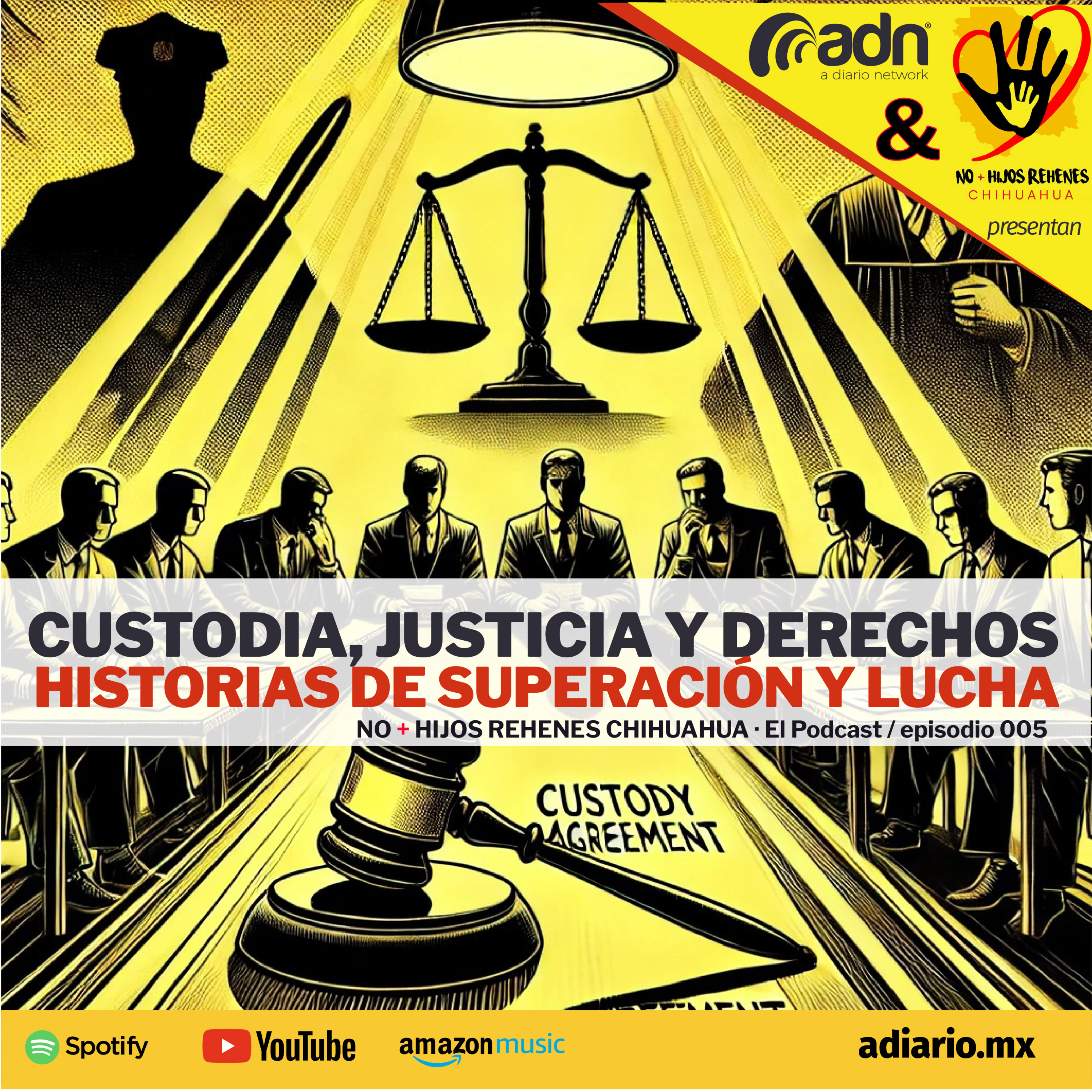 N+HR 005 | Custodia, Justicia y Derechos episode artwork