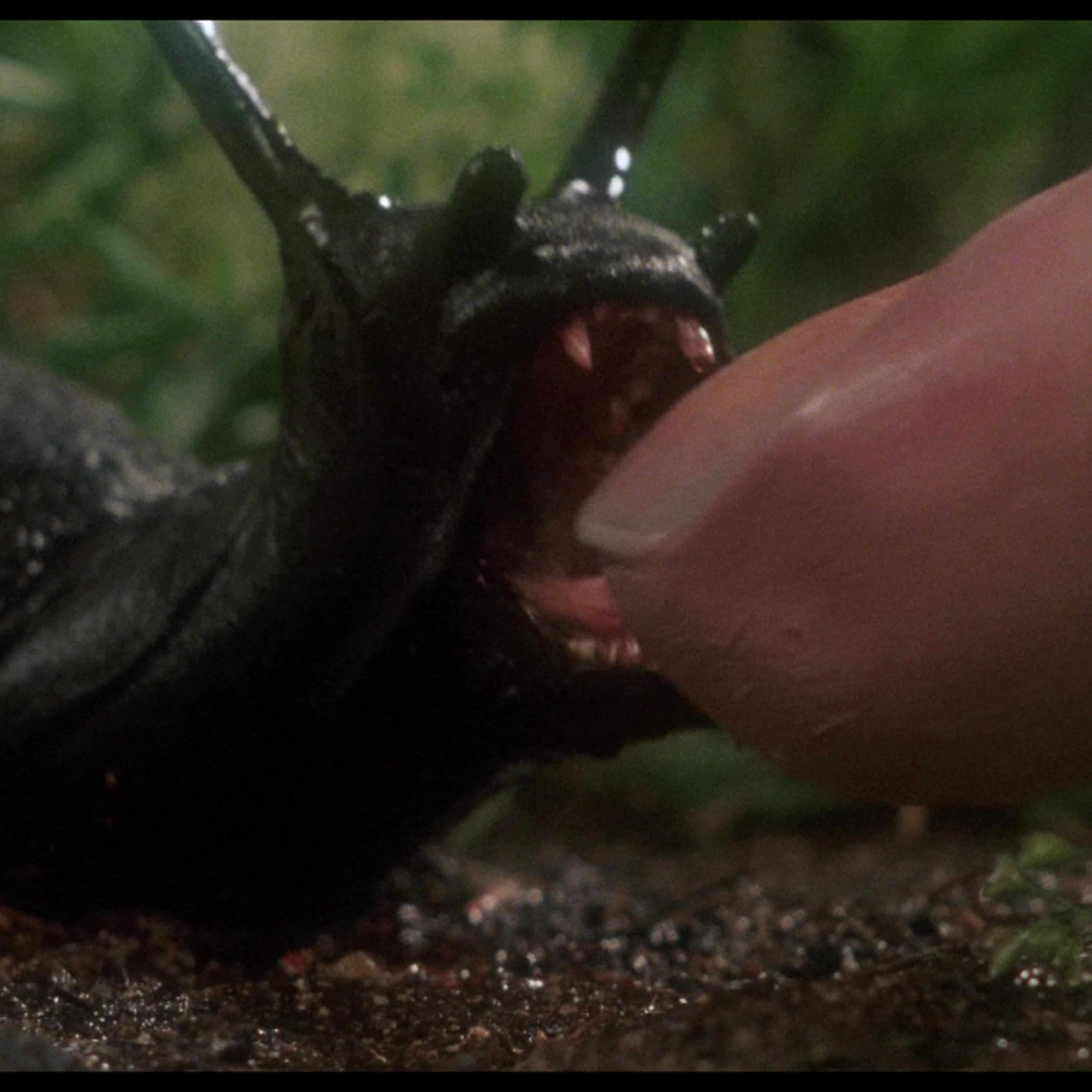 CinemaJam Versus: Slime vs. Stings – Slugs (1988) vs. They Nest (2000) episode artwork