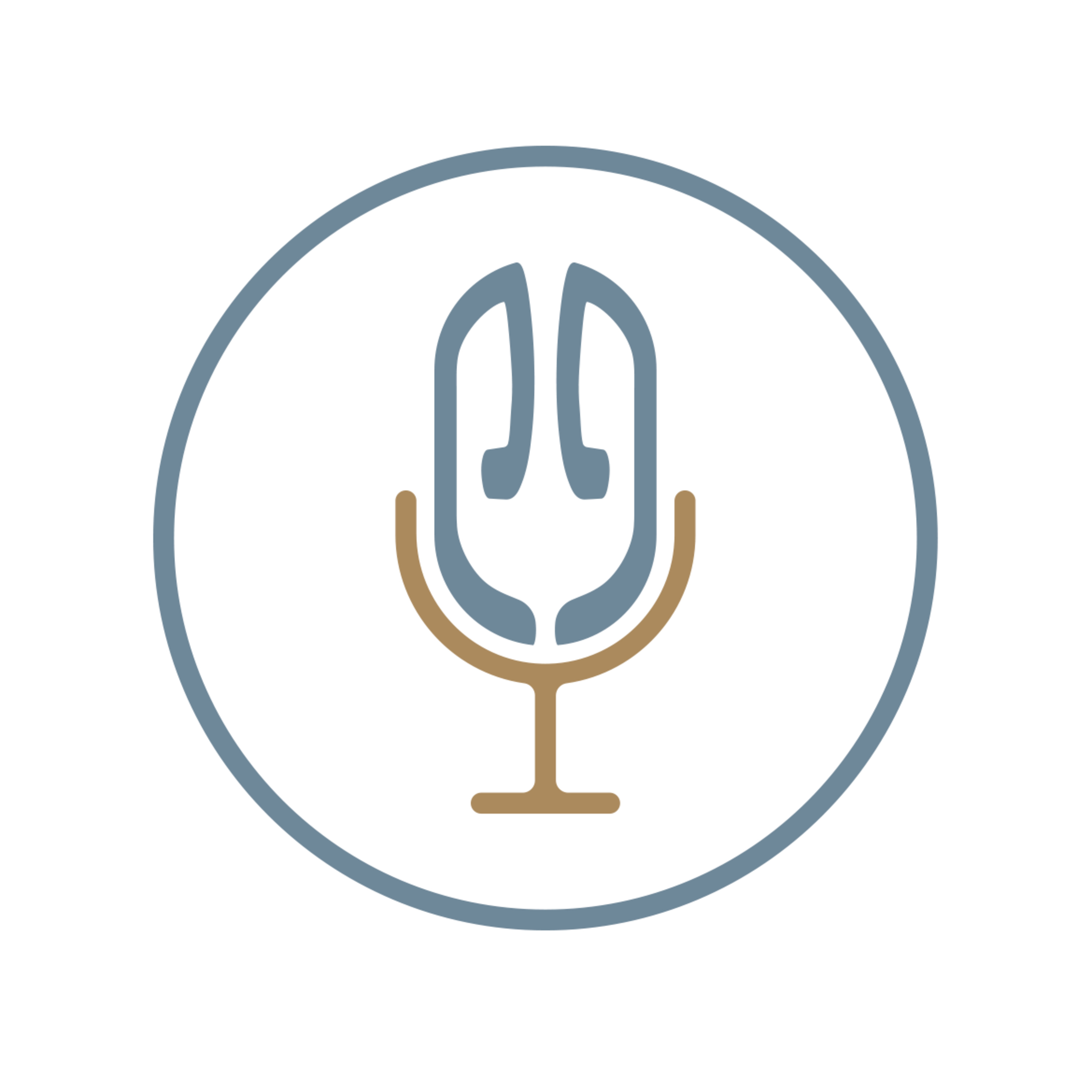 Pushet Pshat Podcast