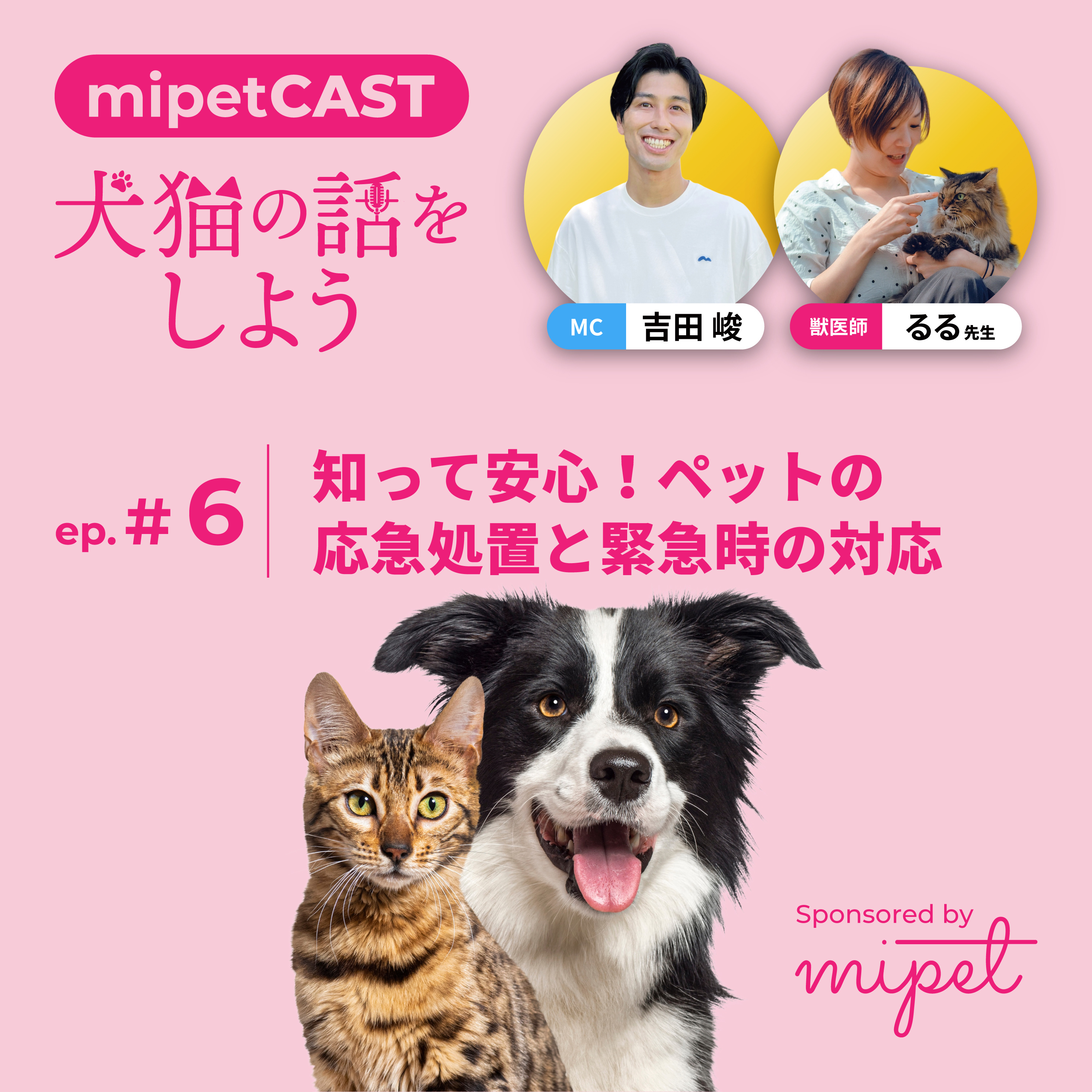 第６回「知って安心！ペットの応急処置と緊急時の対応」 episode artwork