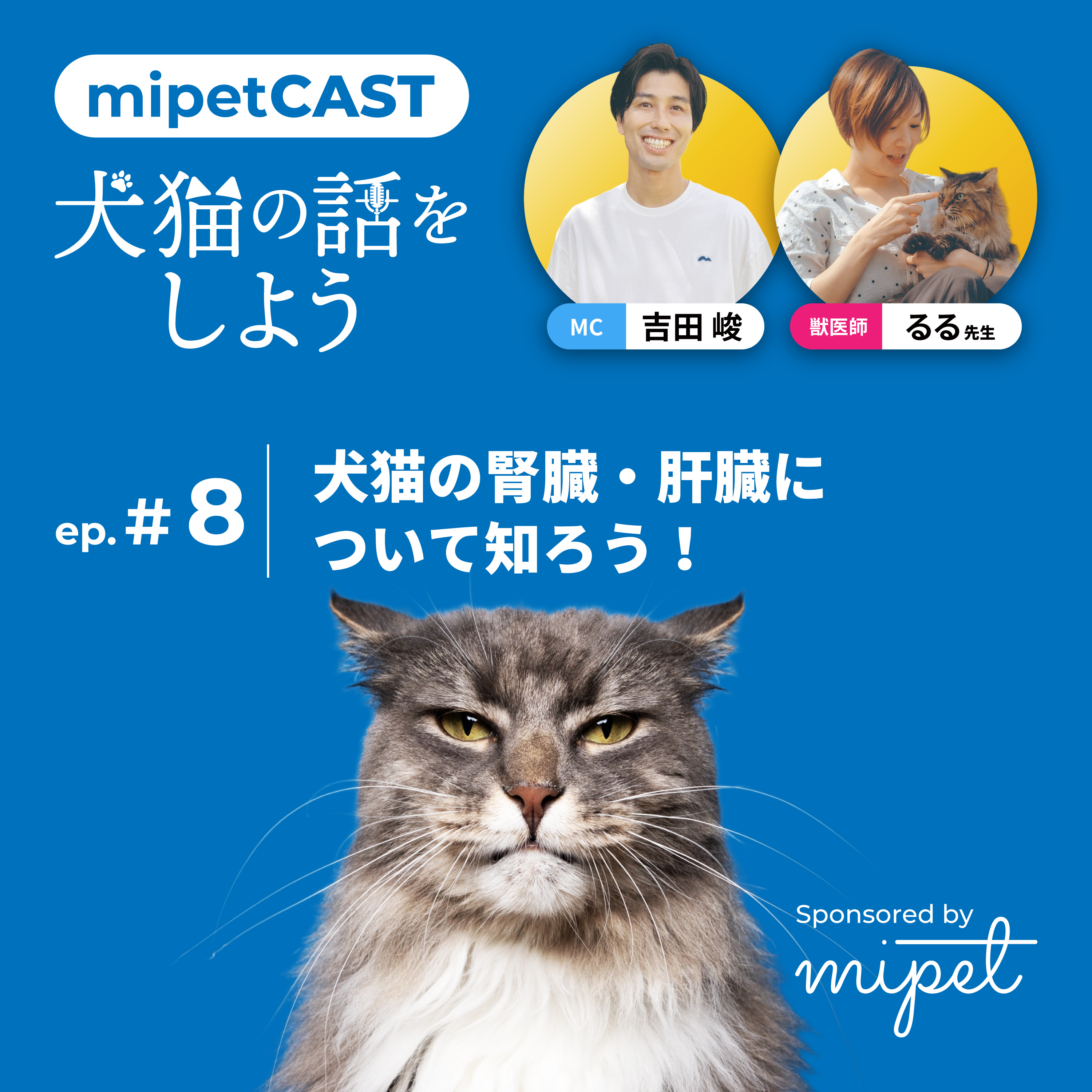 第８回「犬猫の腎臓・肝臓について知ろう！」 episode artwork