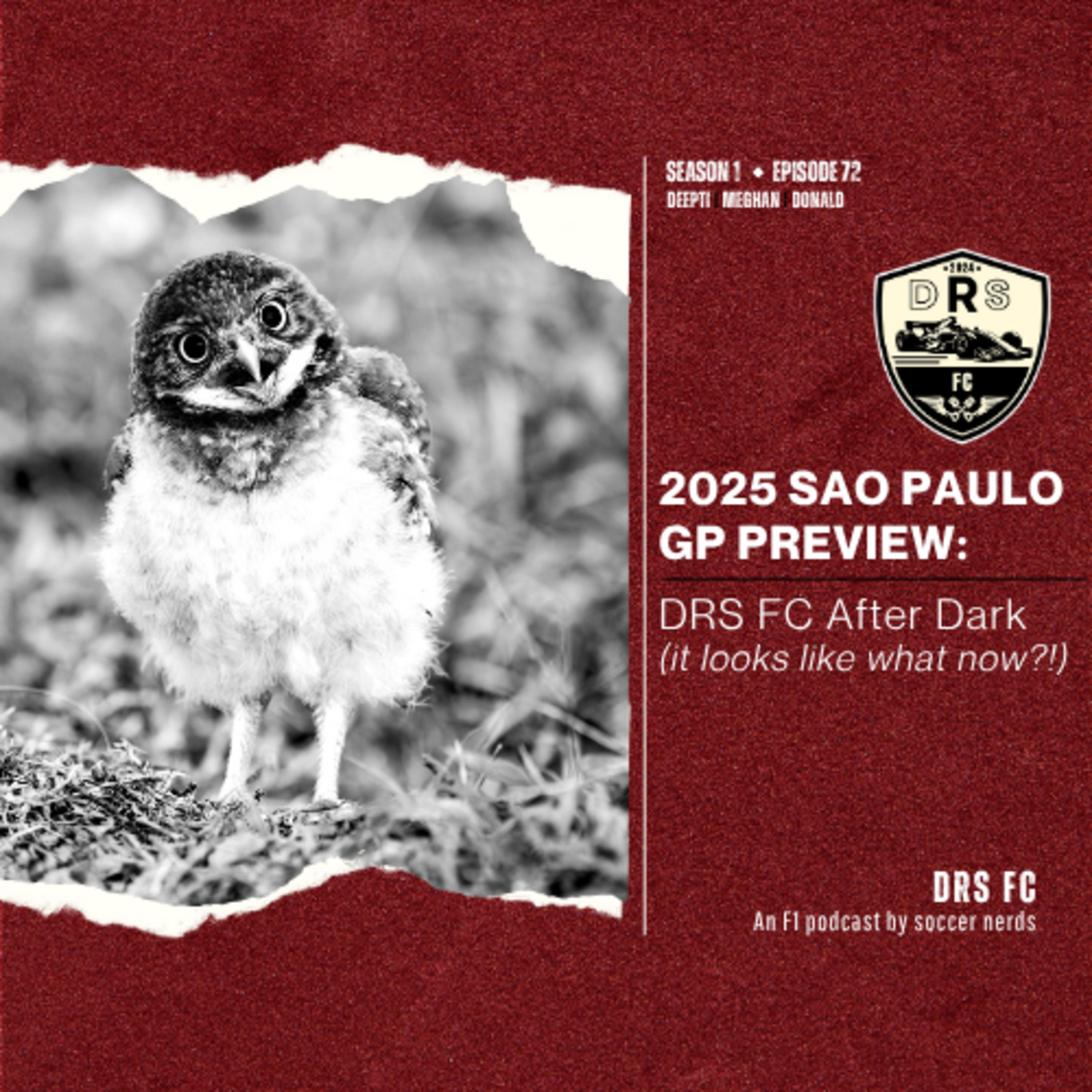 2025 SAO PAULO GP PREVIEW: DRS FC After Dark (it looks like what now?!) episode artwork