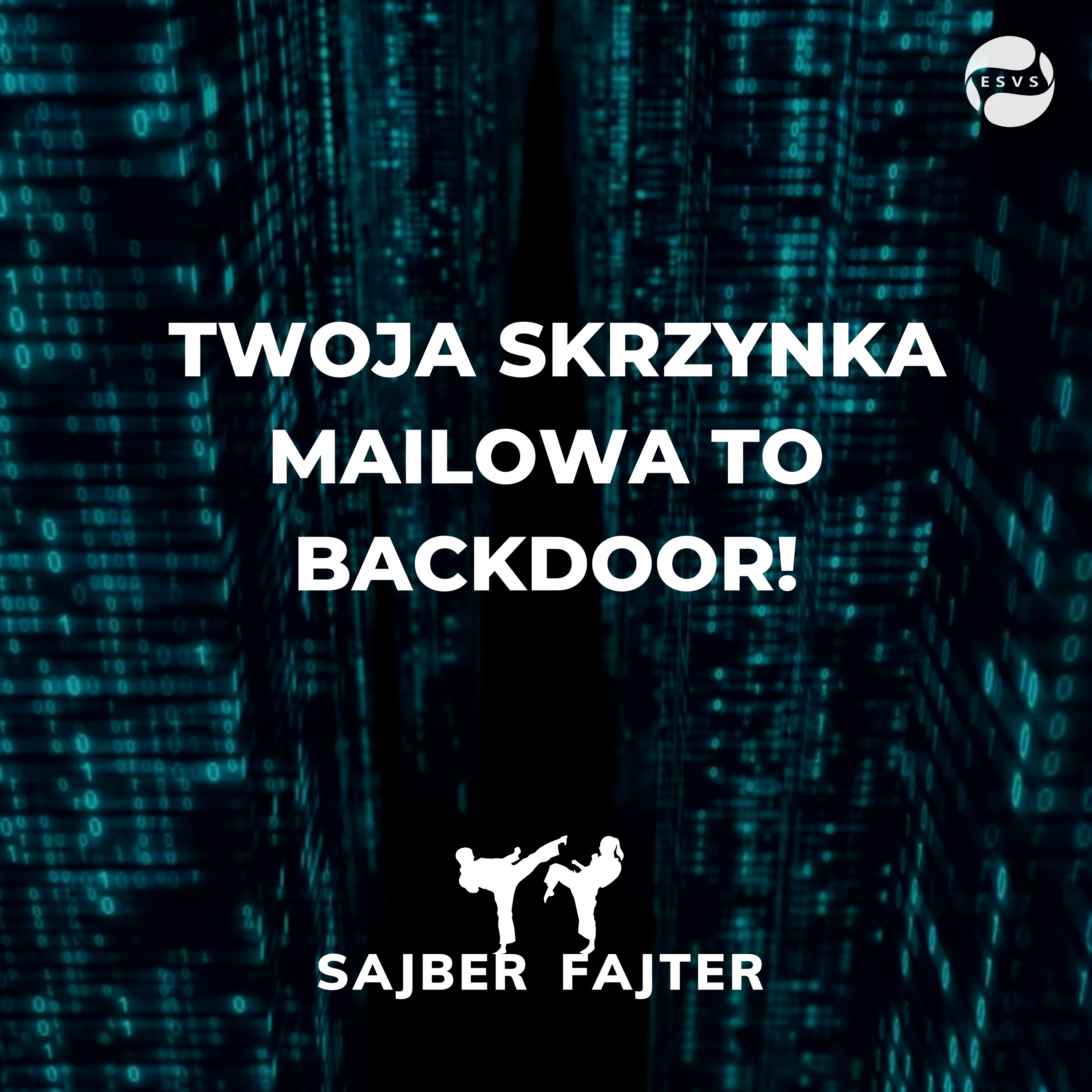 Sajber Fajter