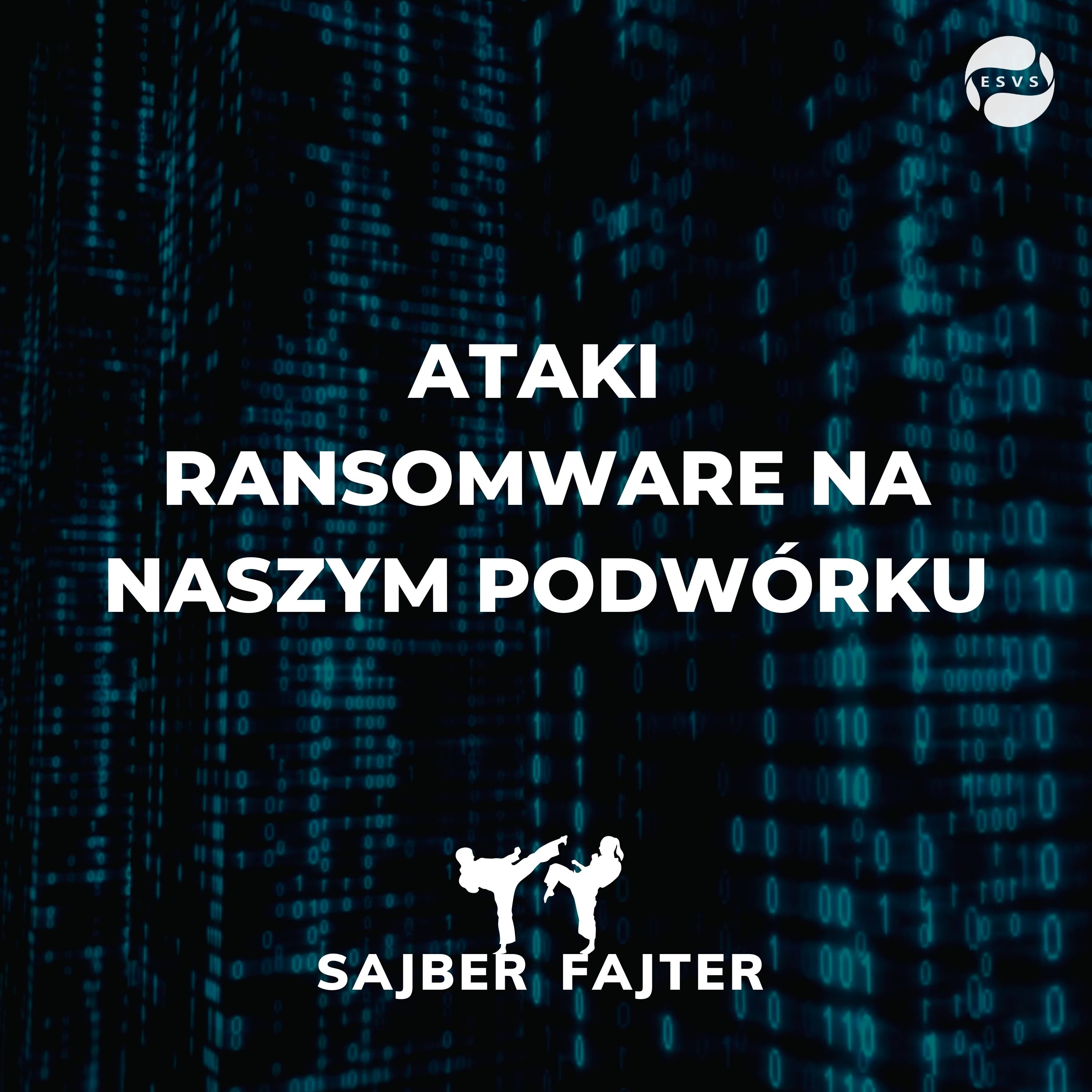 Sajber Fajter