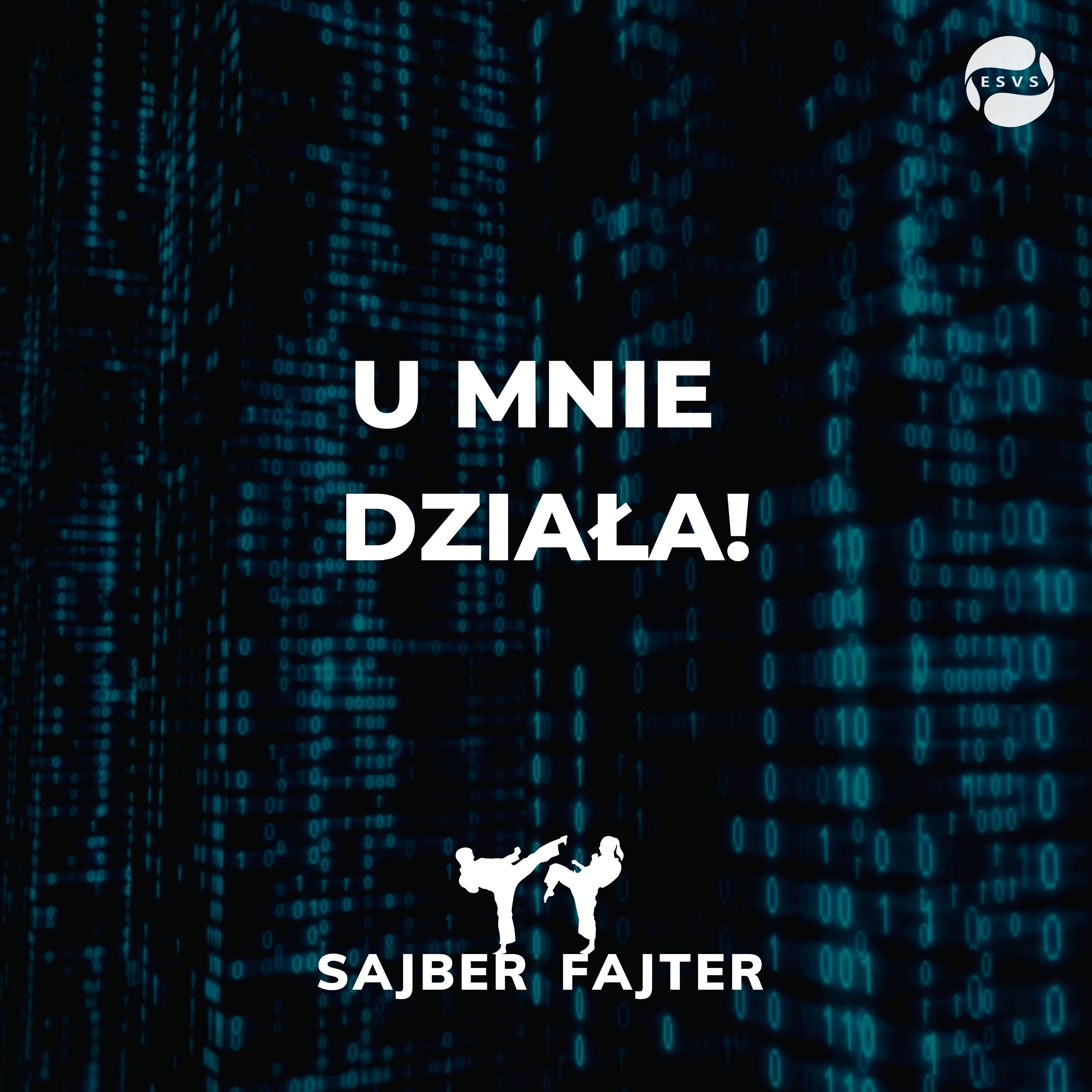 Sajber Fajter