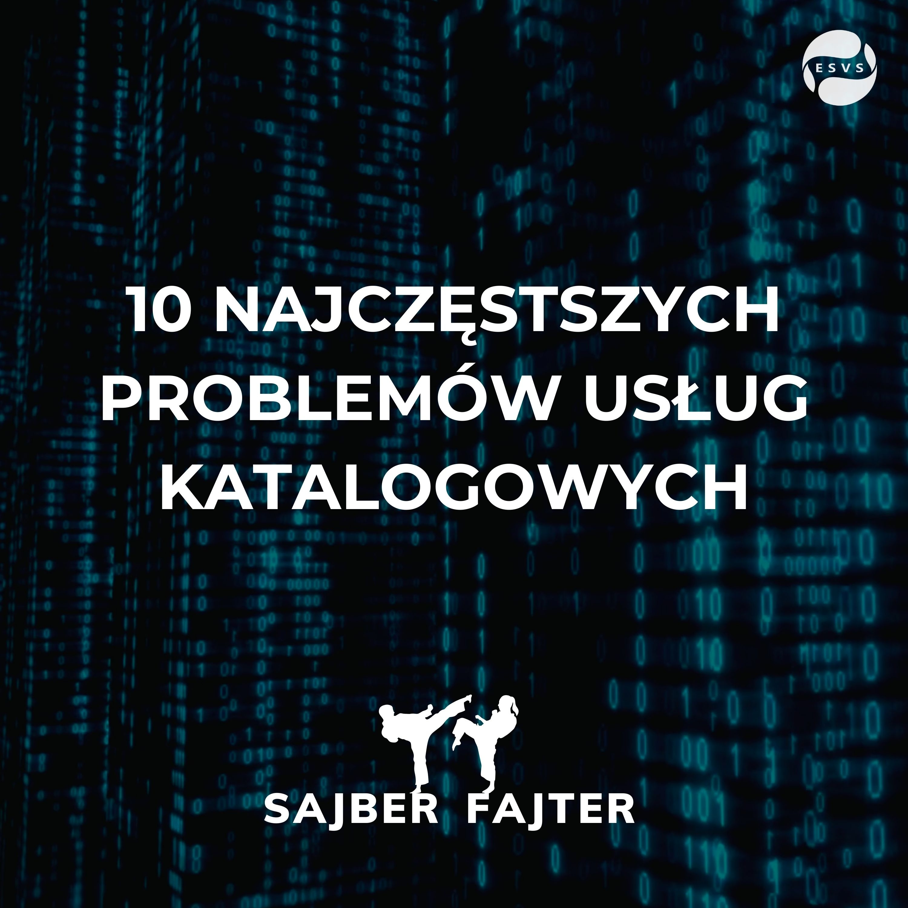 Sajber Fajter