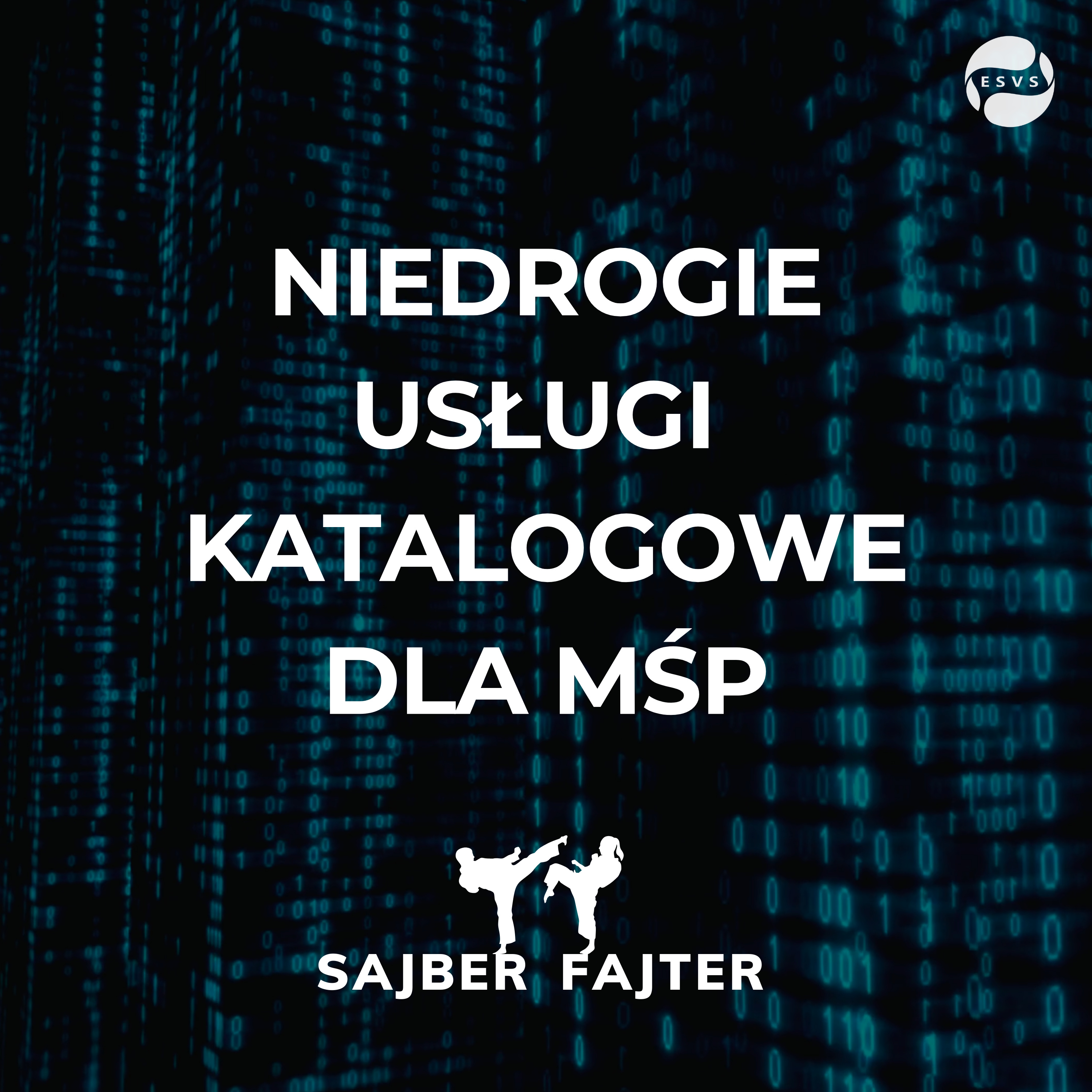 Sajber Fajter