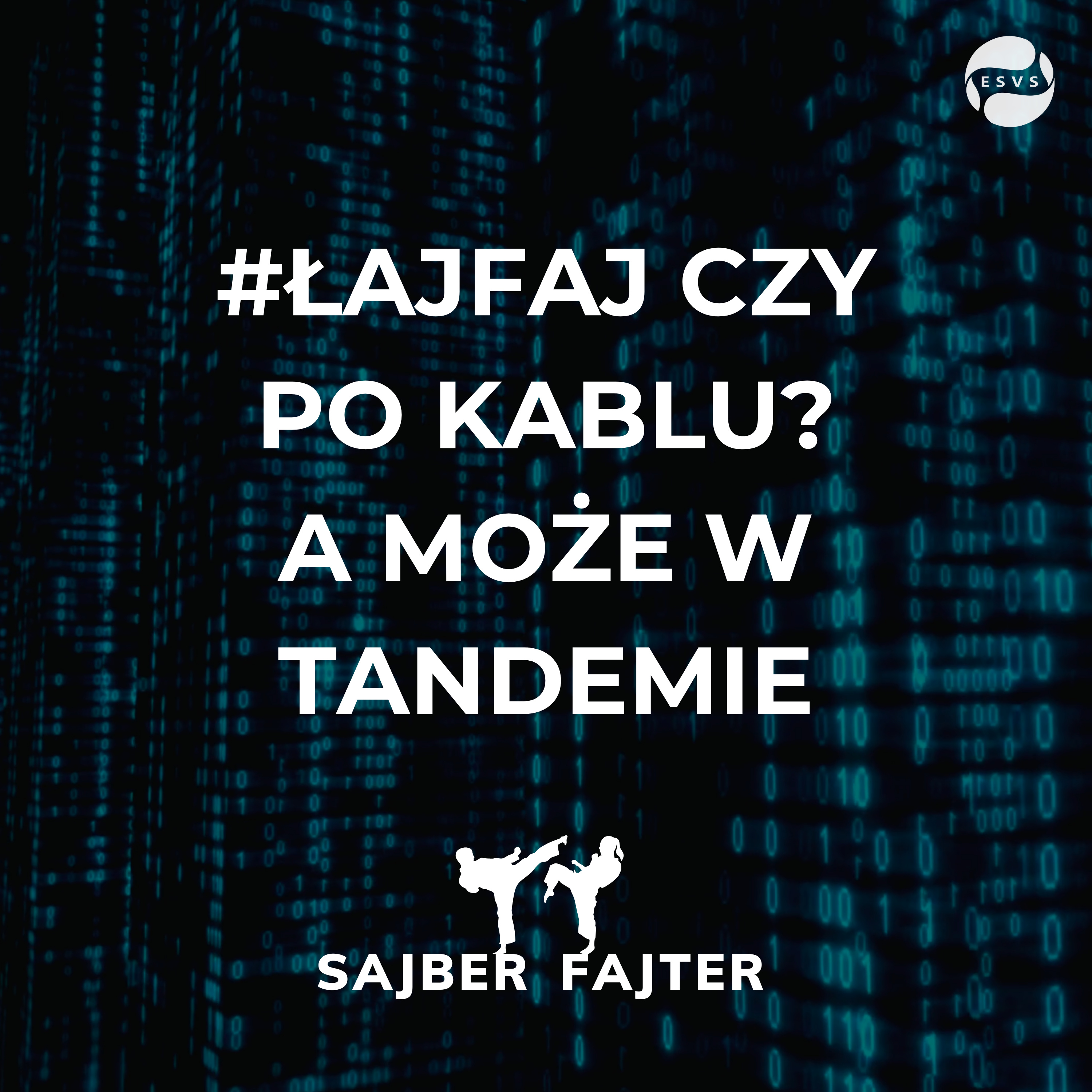 Sajber Fajter