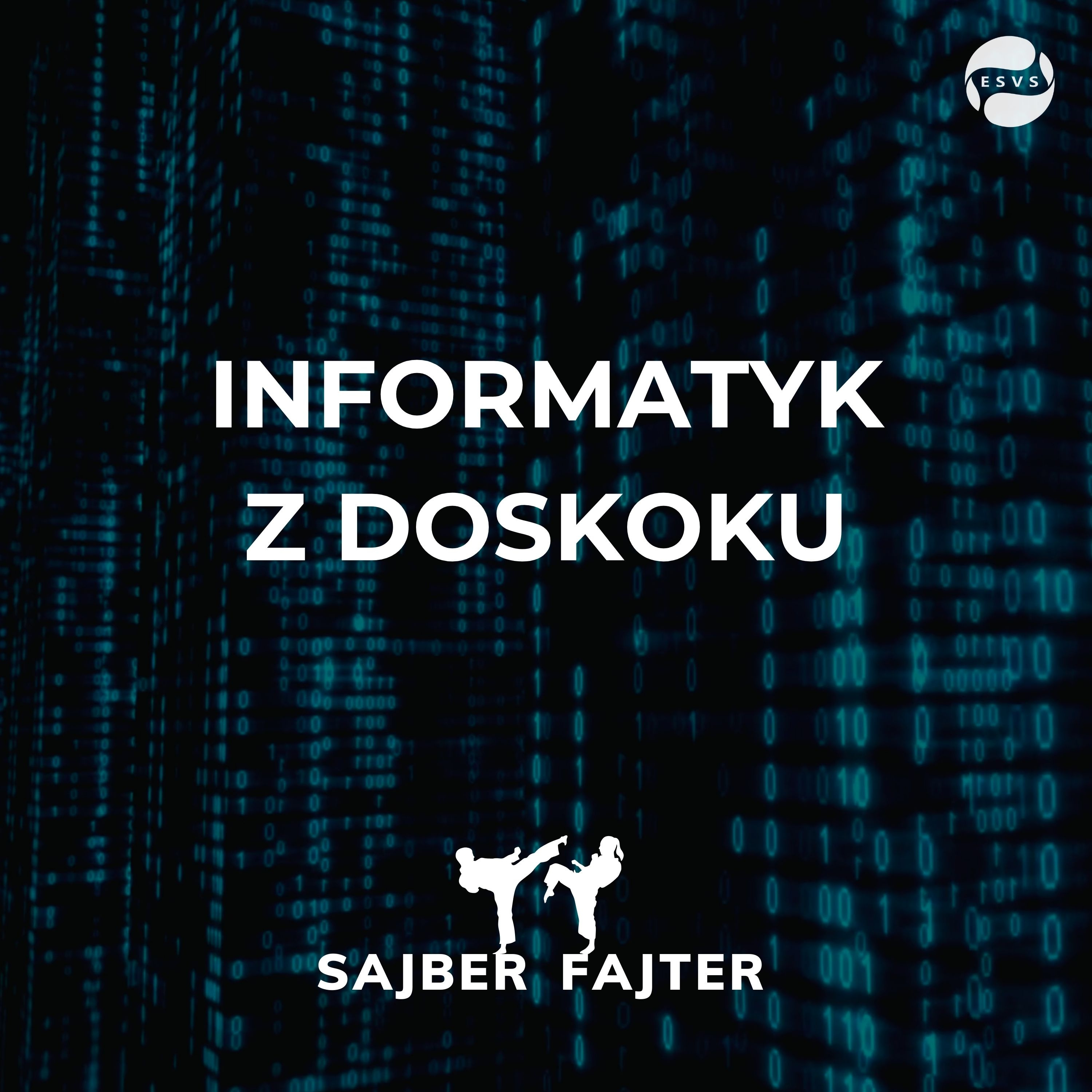 Sajber Fajter
