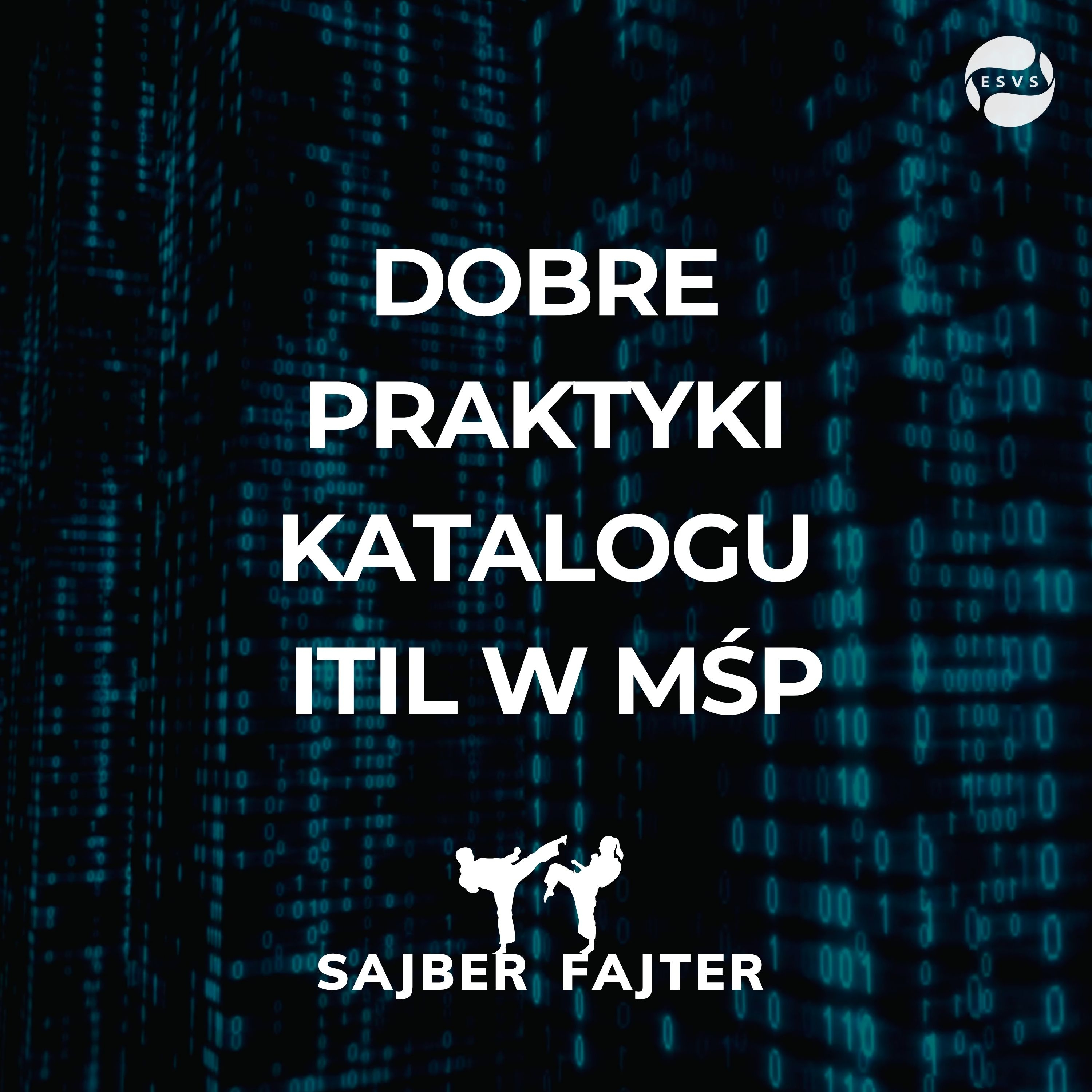 Sajber Fajter