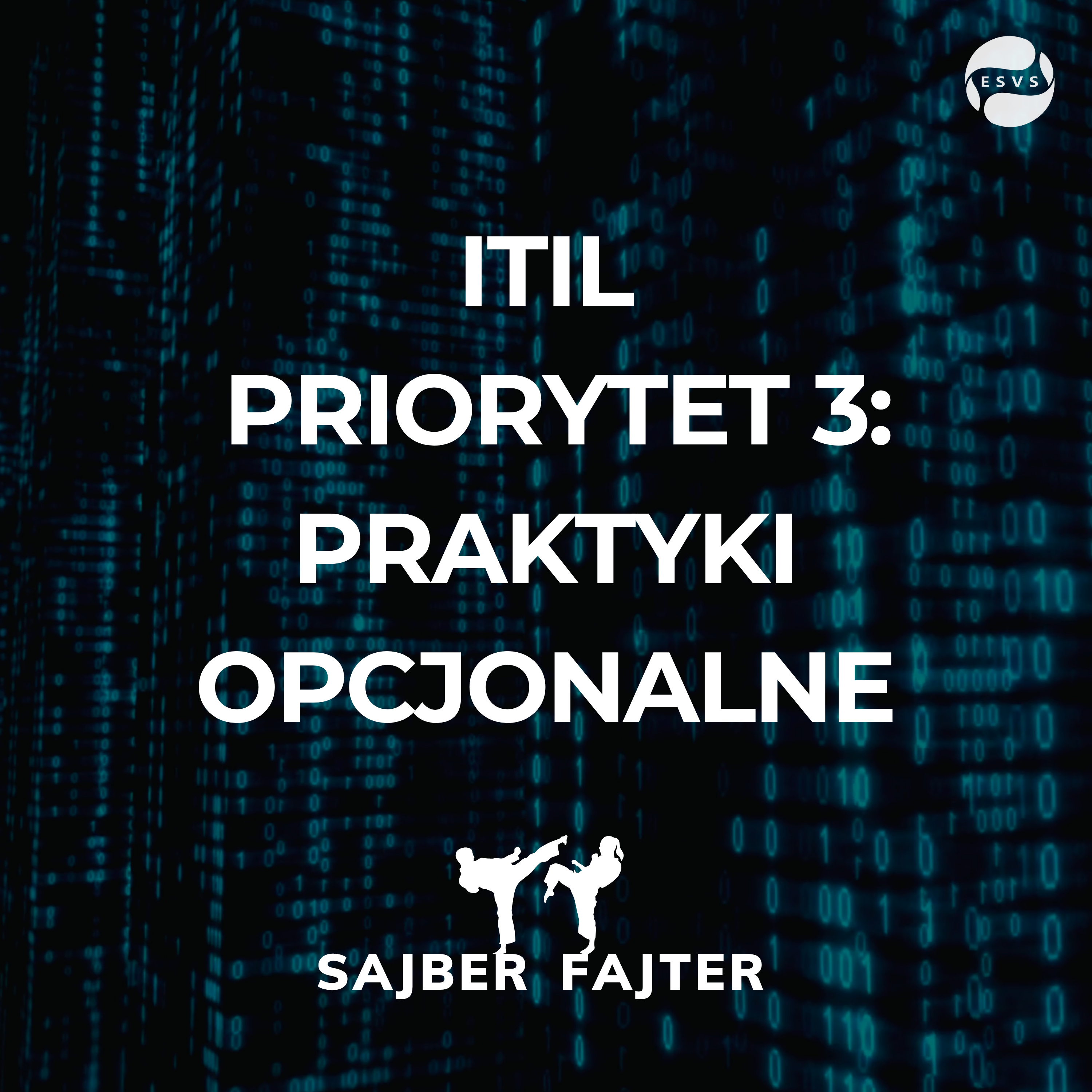 #21 - ITIL dla MŚP - Priorytet 3: Praktyki zaawansowane (opcjonalne) episode artwork