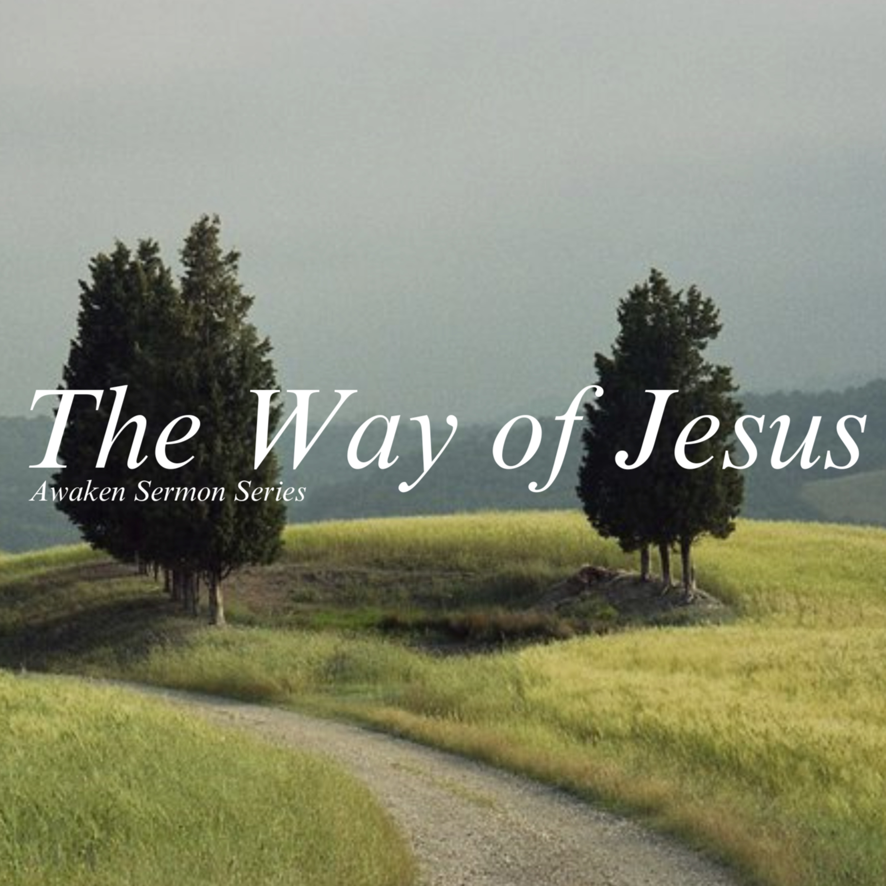 Welcome, Vision, and Identity // Meleah Williamson