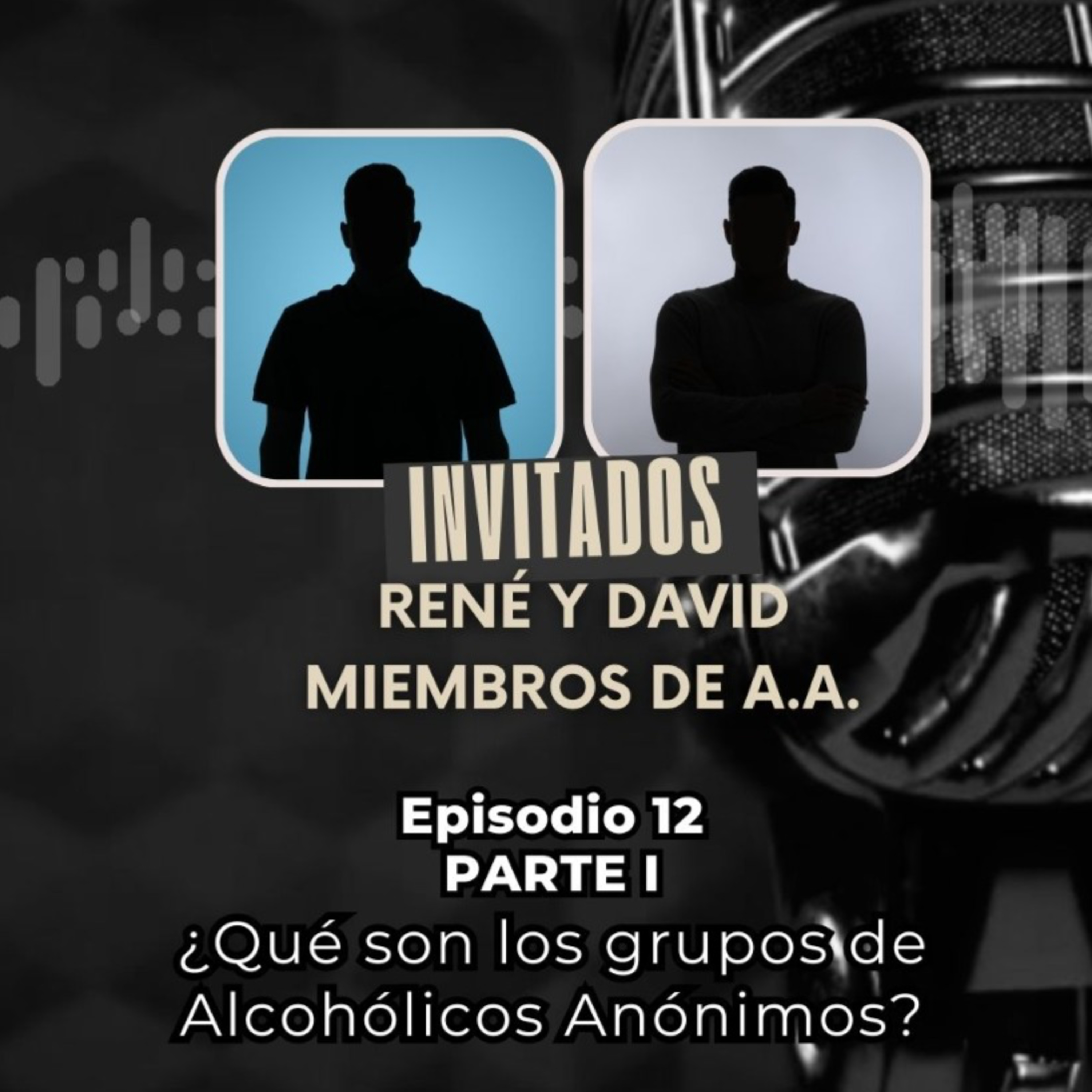 Episodio 12, parte I: ¿Qué son los grupos de Alcohólicos Anónimos?