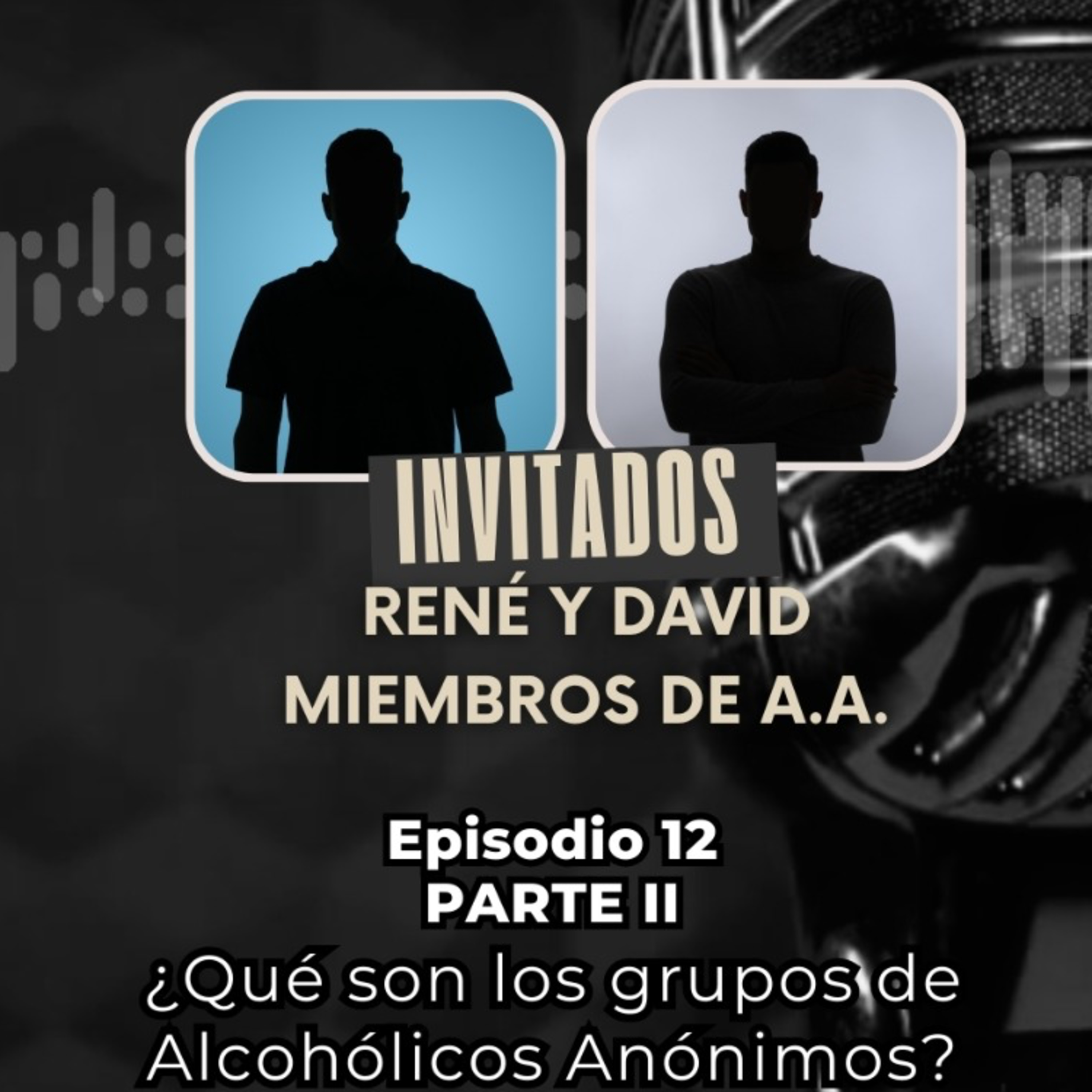 Episodio 12, parte II: ¿Qué son los grupos de Alcohólicos Anónimos?