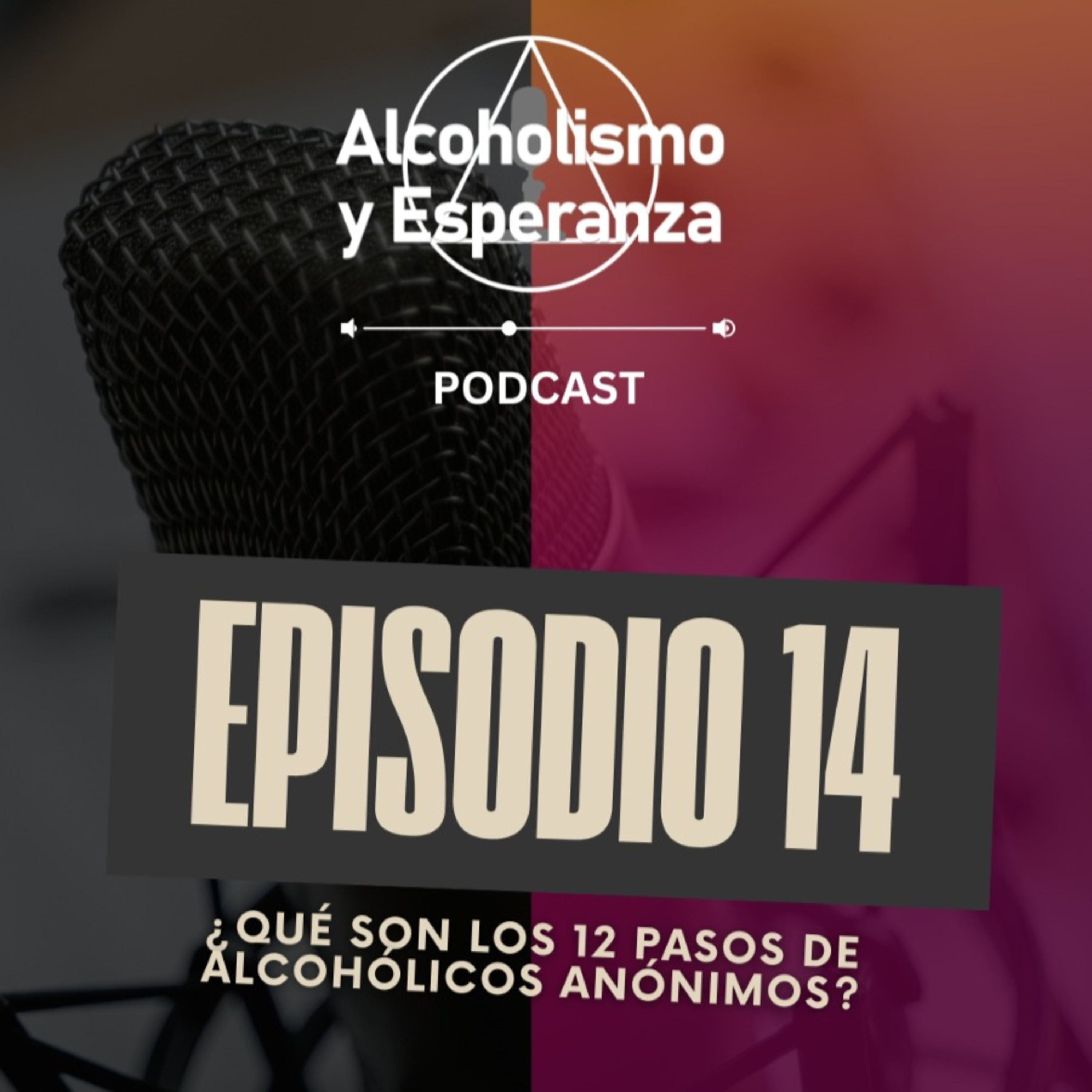 Episodio 14 - ¿Qué son los doce pasos?