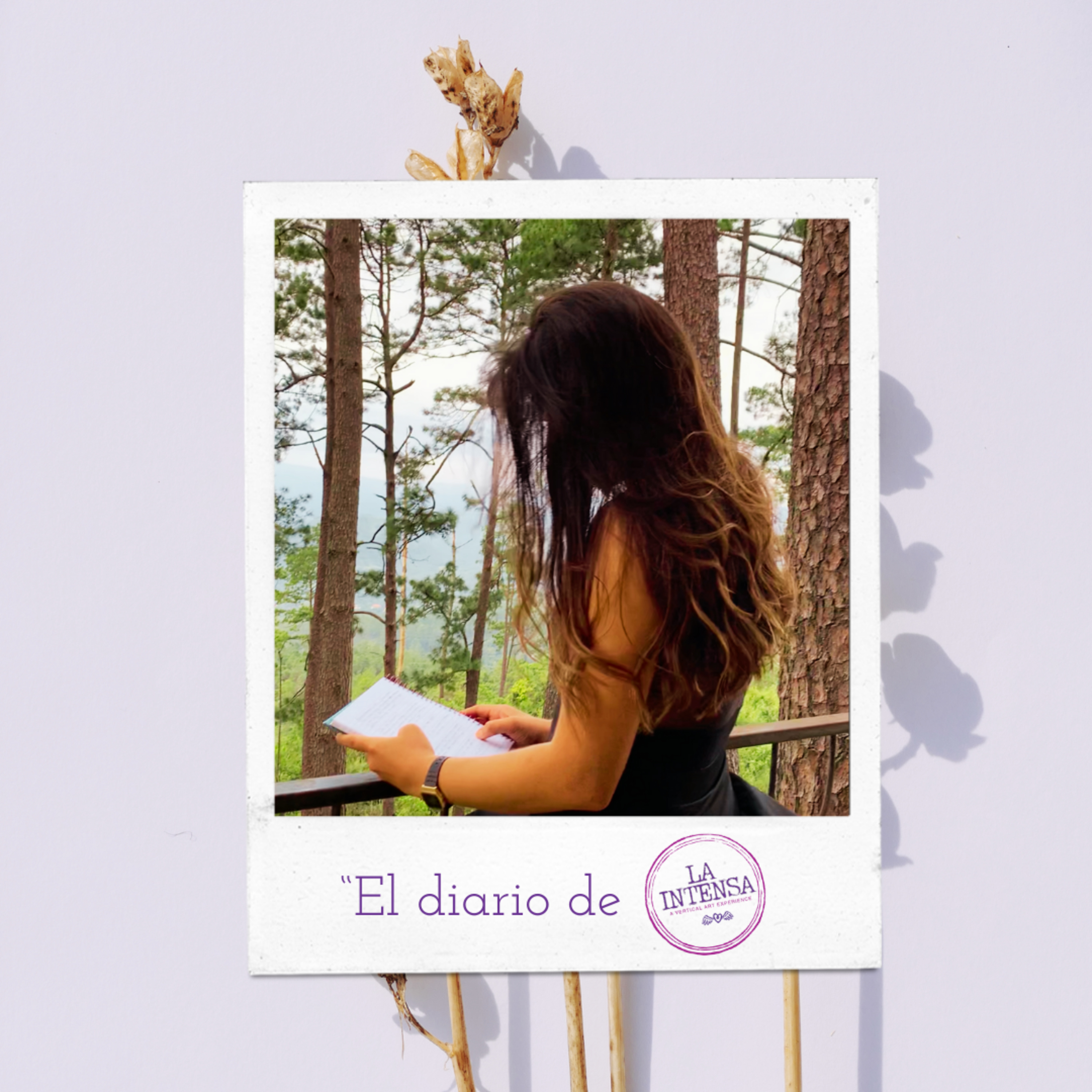 DEL DESAMOR Y LA SOLEDAD AL AMOR PROPIO Y EL CRECIMIENTO (fragmentos de mi diario). episode artwork