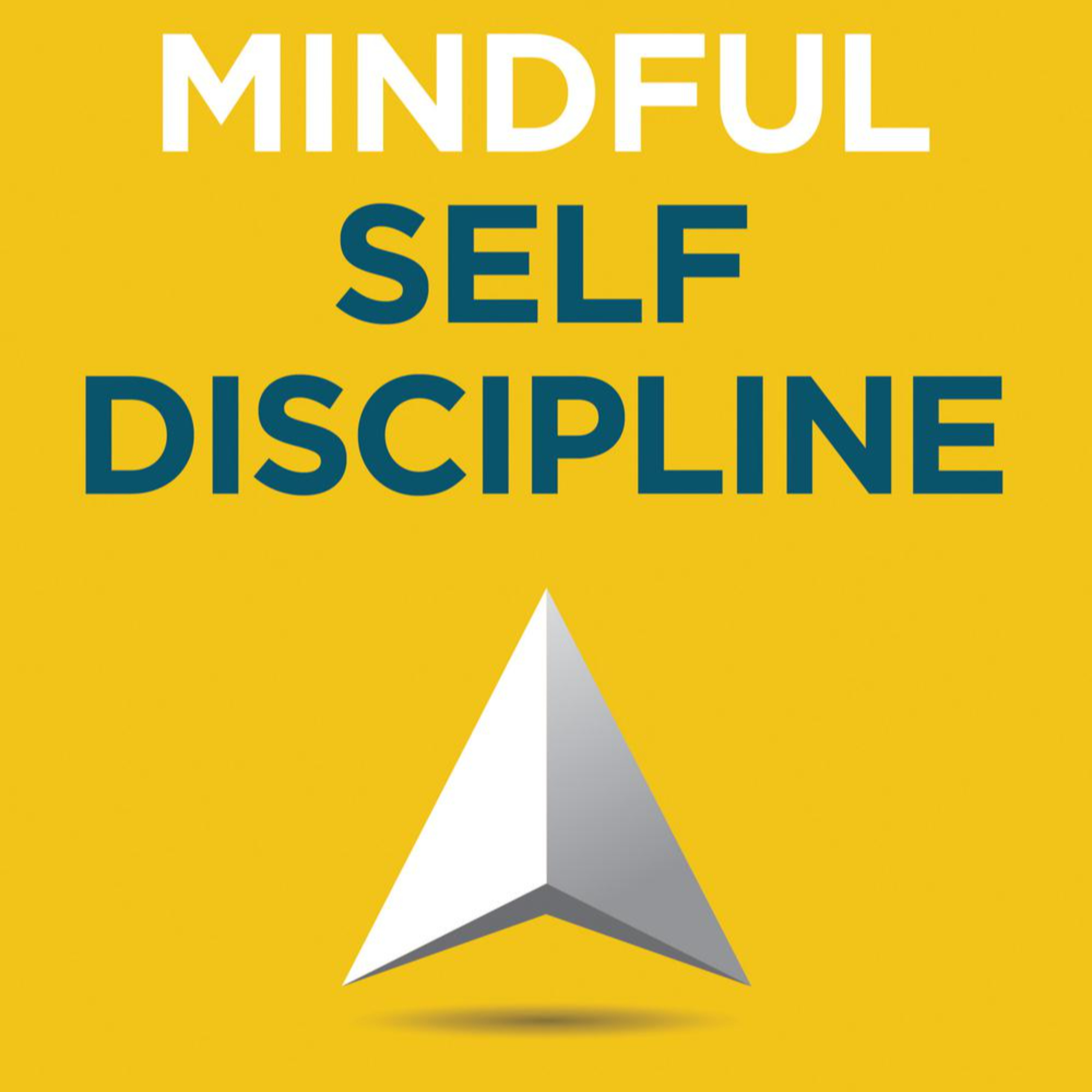 Mindful Self-Discipline - Book Review episode artwork