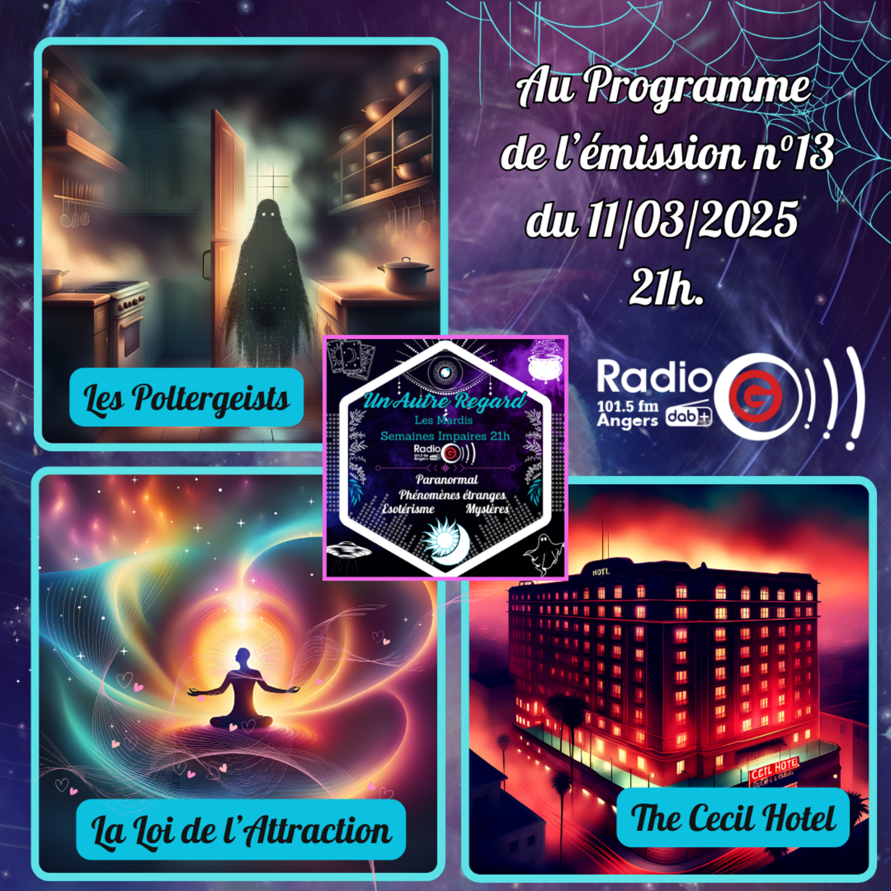 Emission du 11/03/2025: Les Poltergeists / Loi de l’Attraction / The Cecil Hotel.
