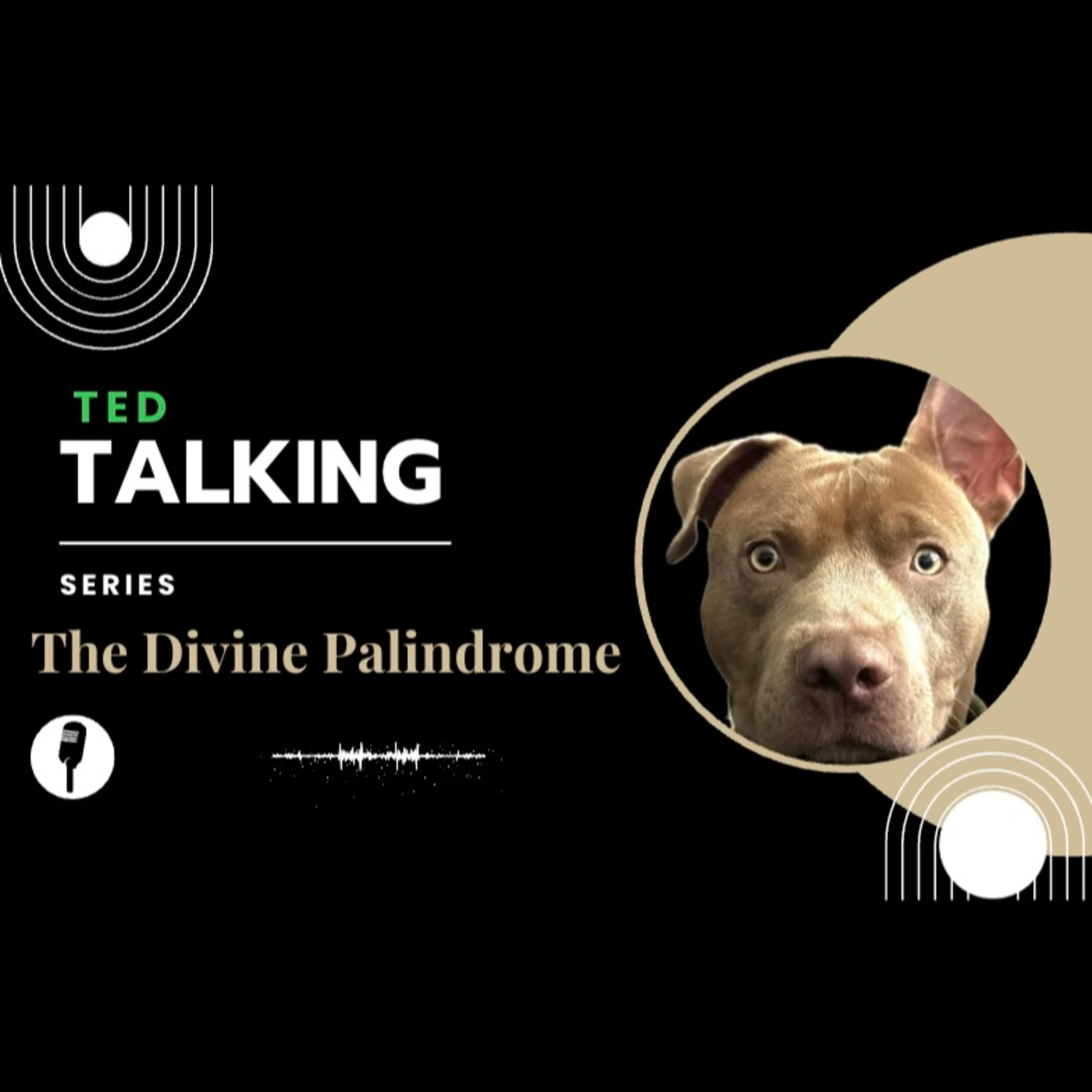 The Divine Palindrome: 5 - What Fear Hides episode artwork