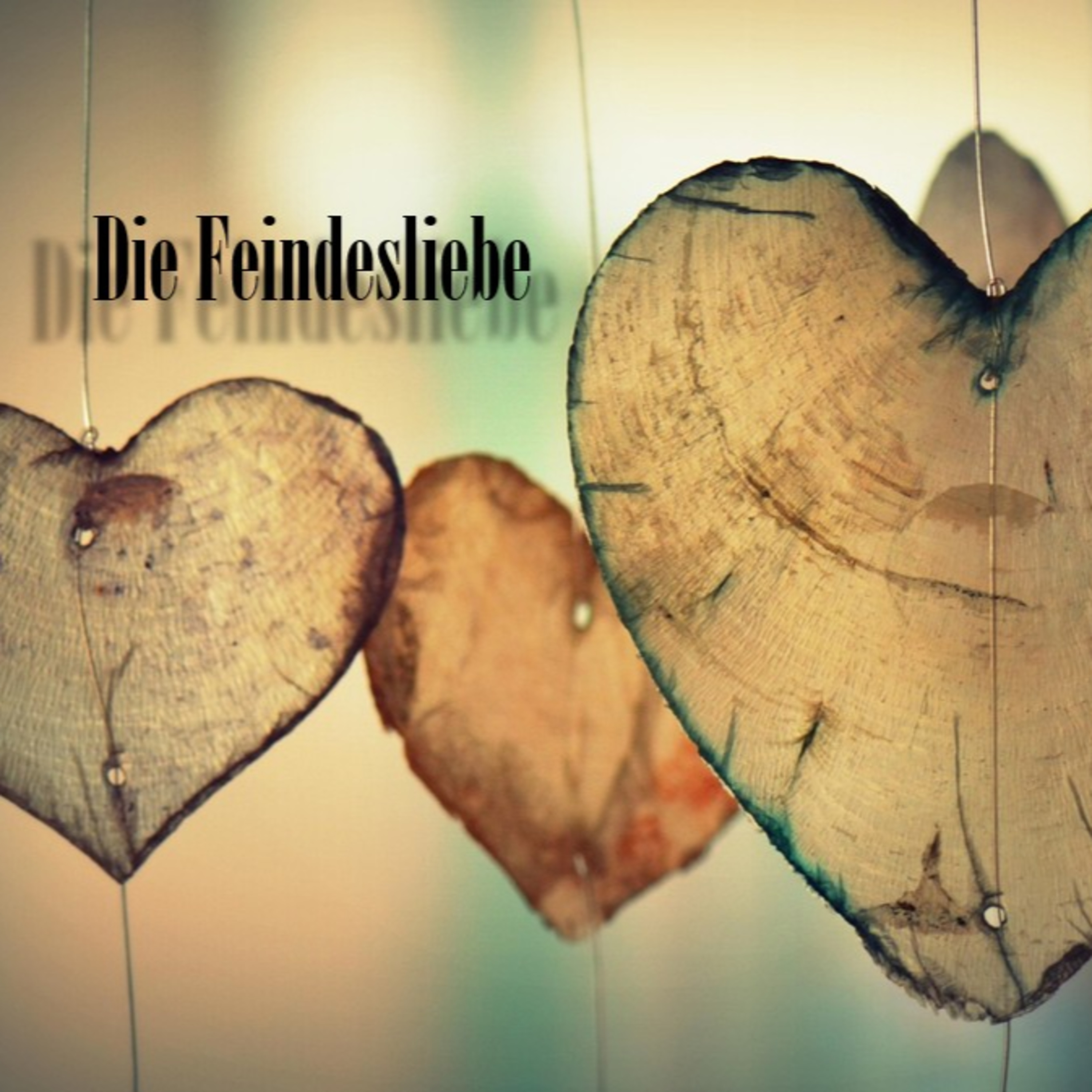 Die Feindesliebe episode artwork
