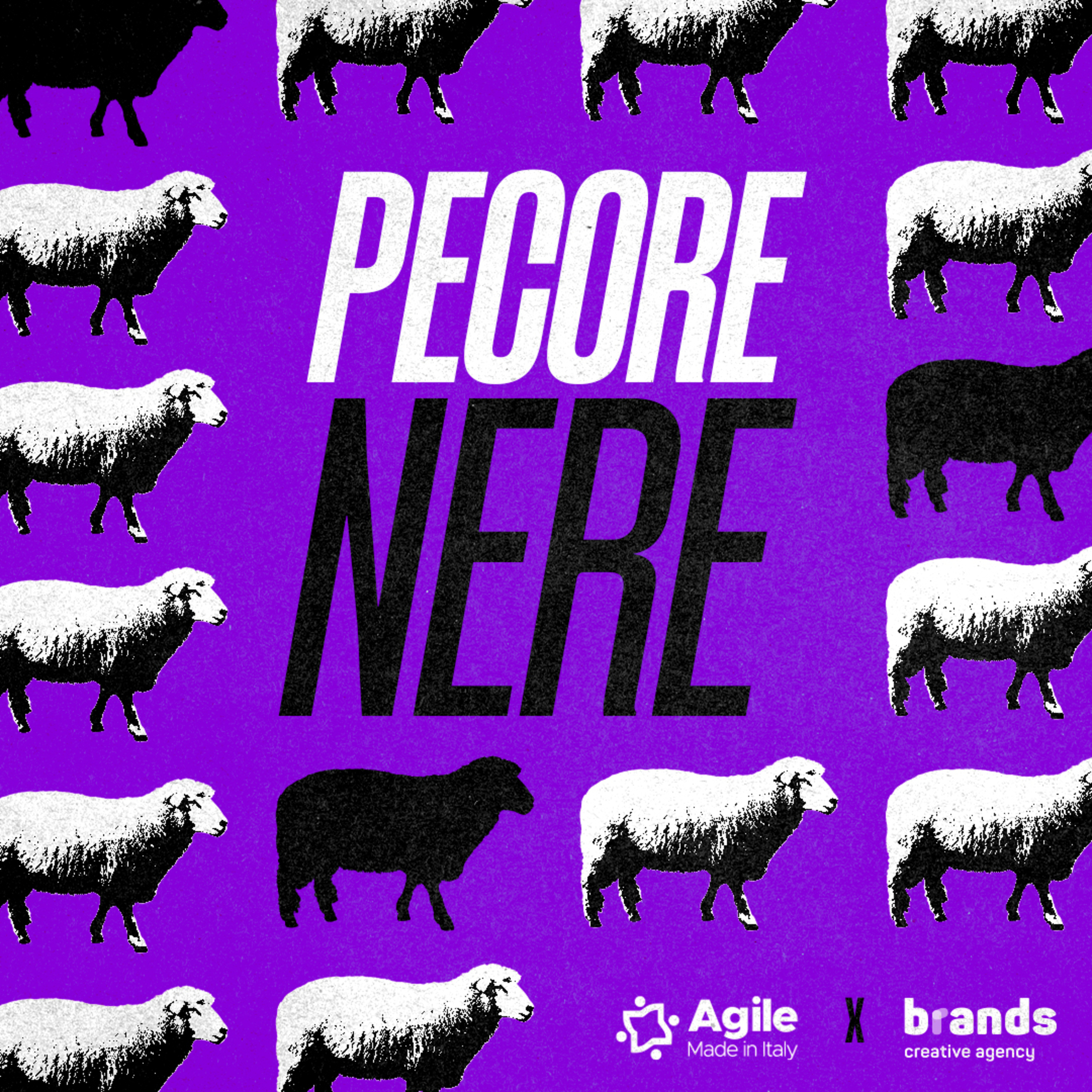Pecore Nere