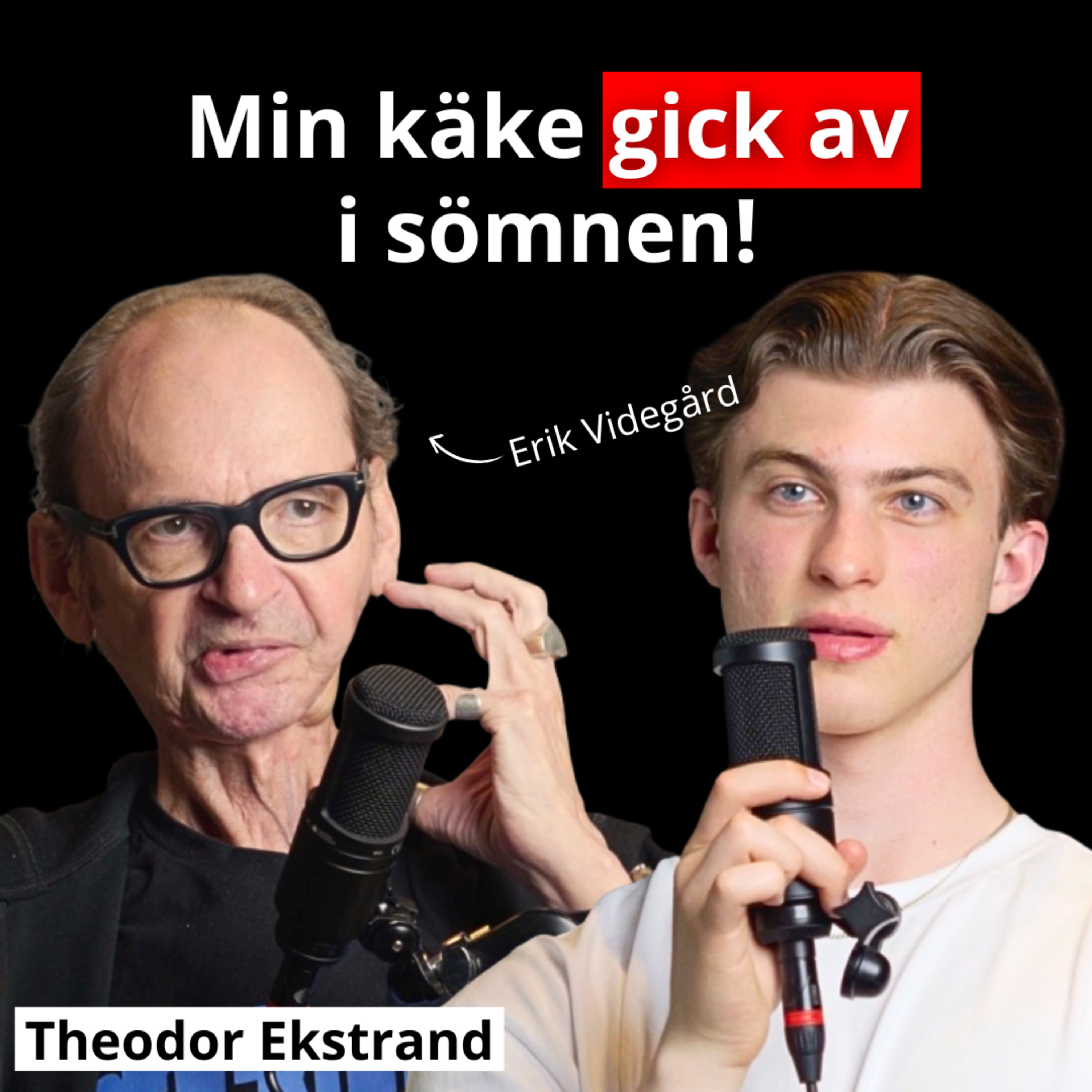 Theodor Ekstrands Podcast
