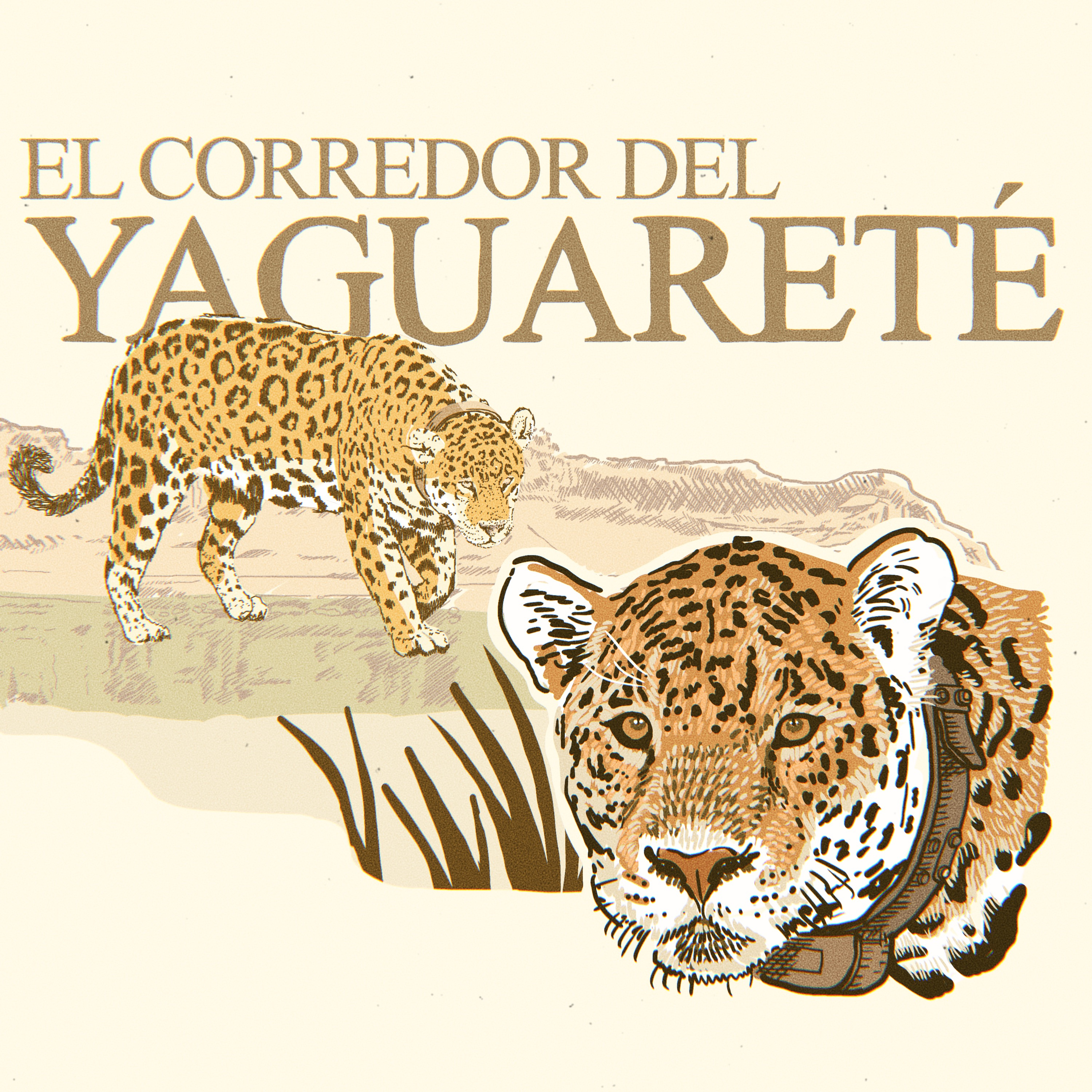 Portada de Rewilders