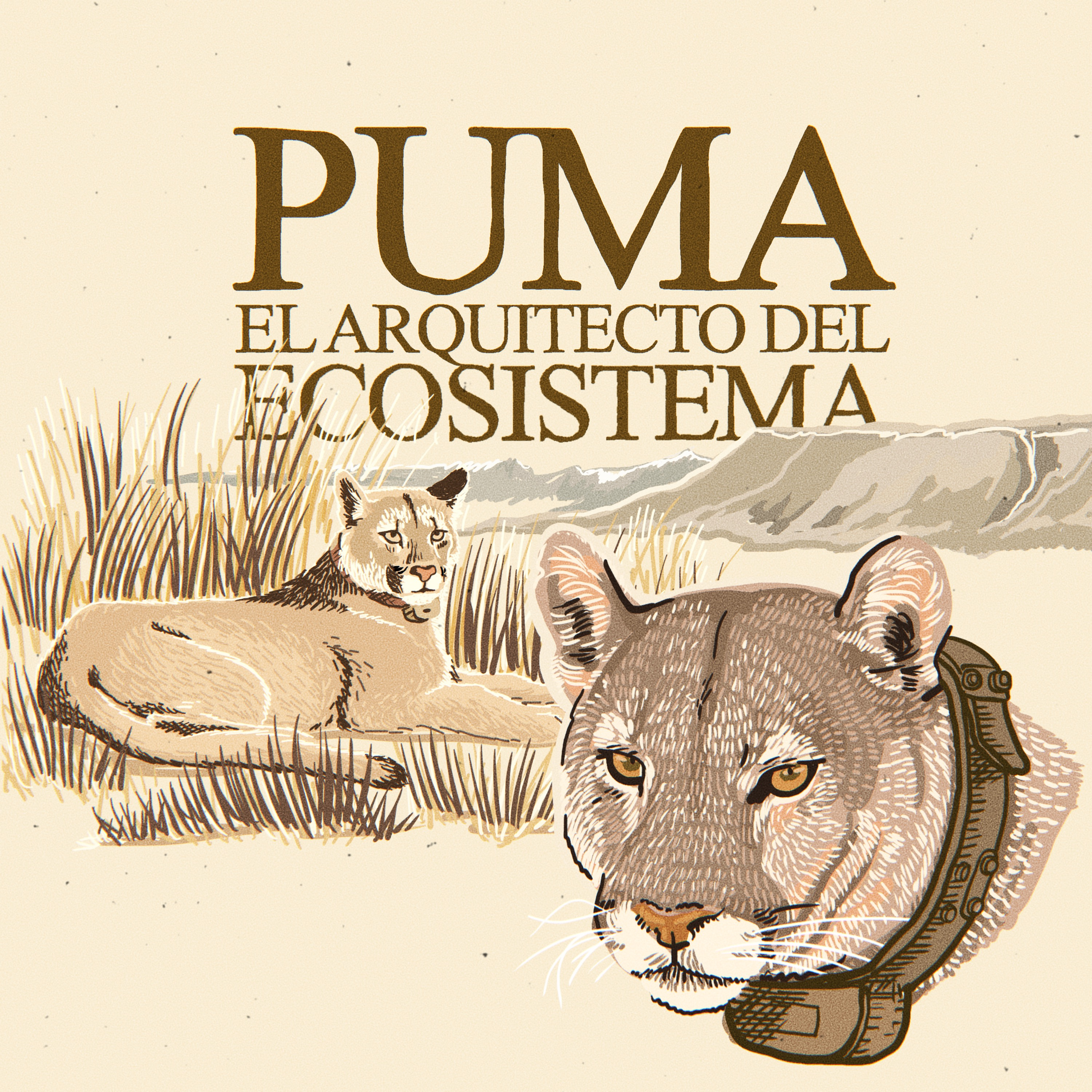 Portada de Rewilders