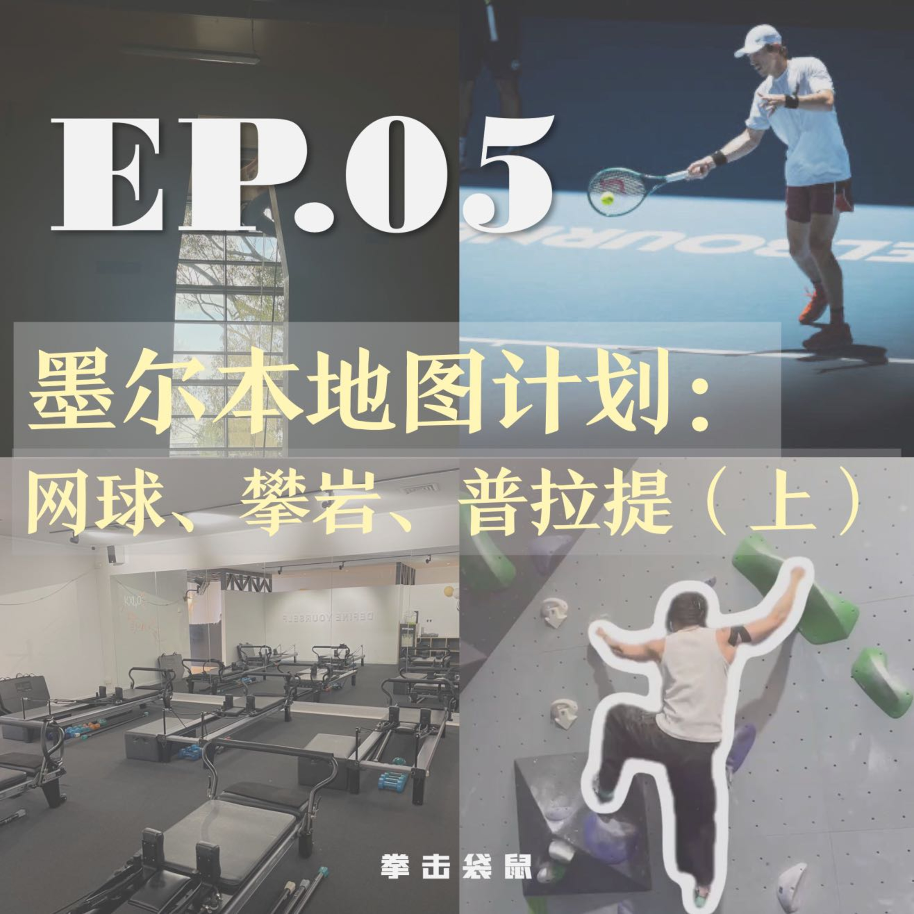 拳击袋鼠