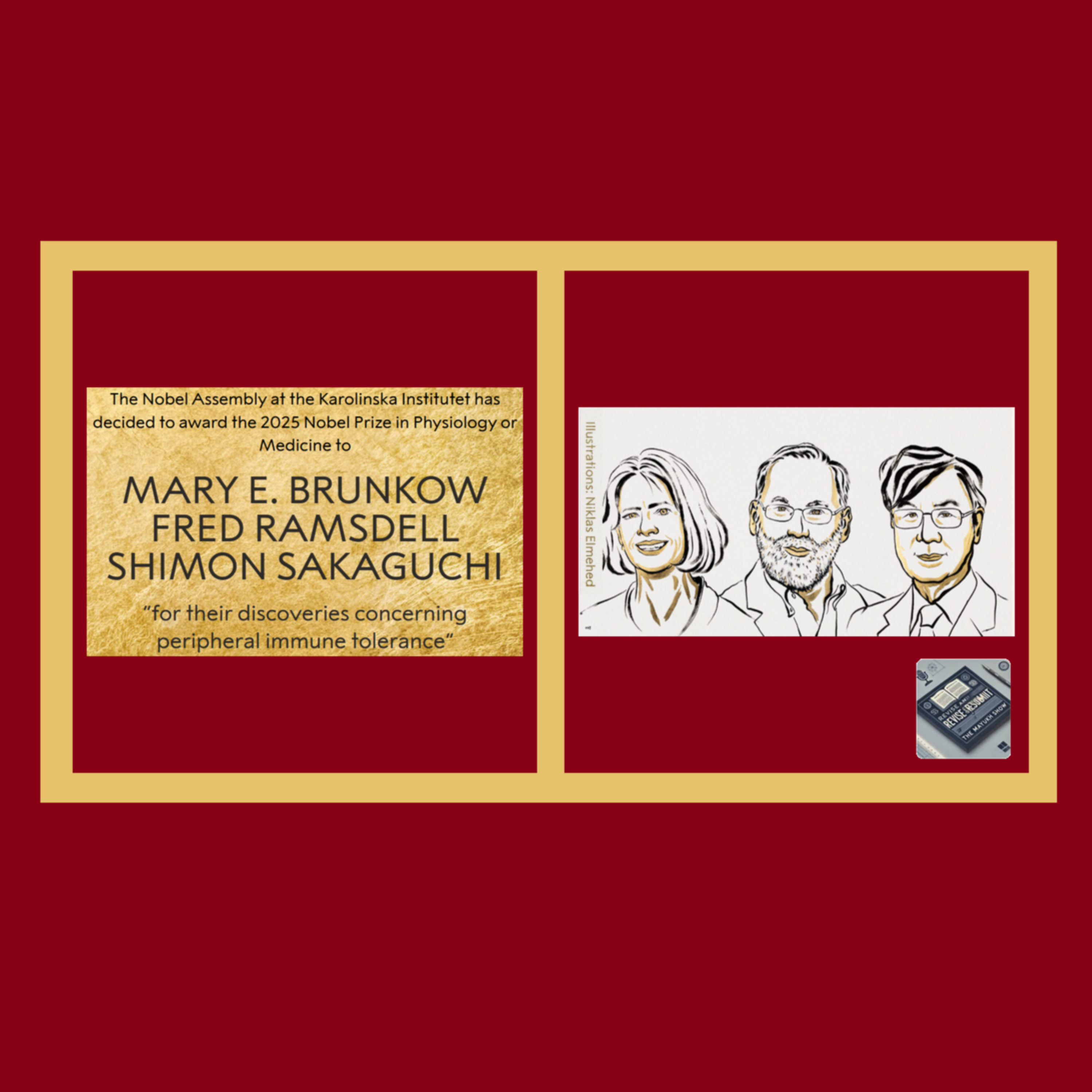 Brunkow, Ramsdell, & Sakaguchi | Nobel Prize in Physiology or Medicine 2025