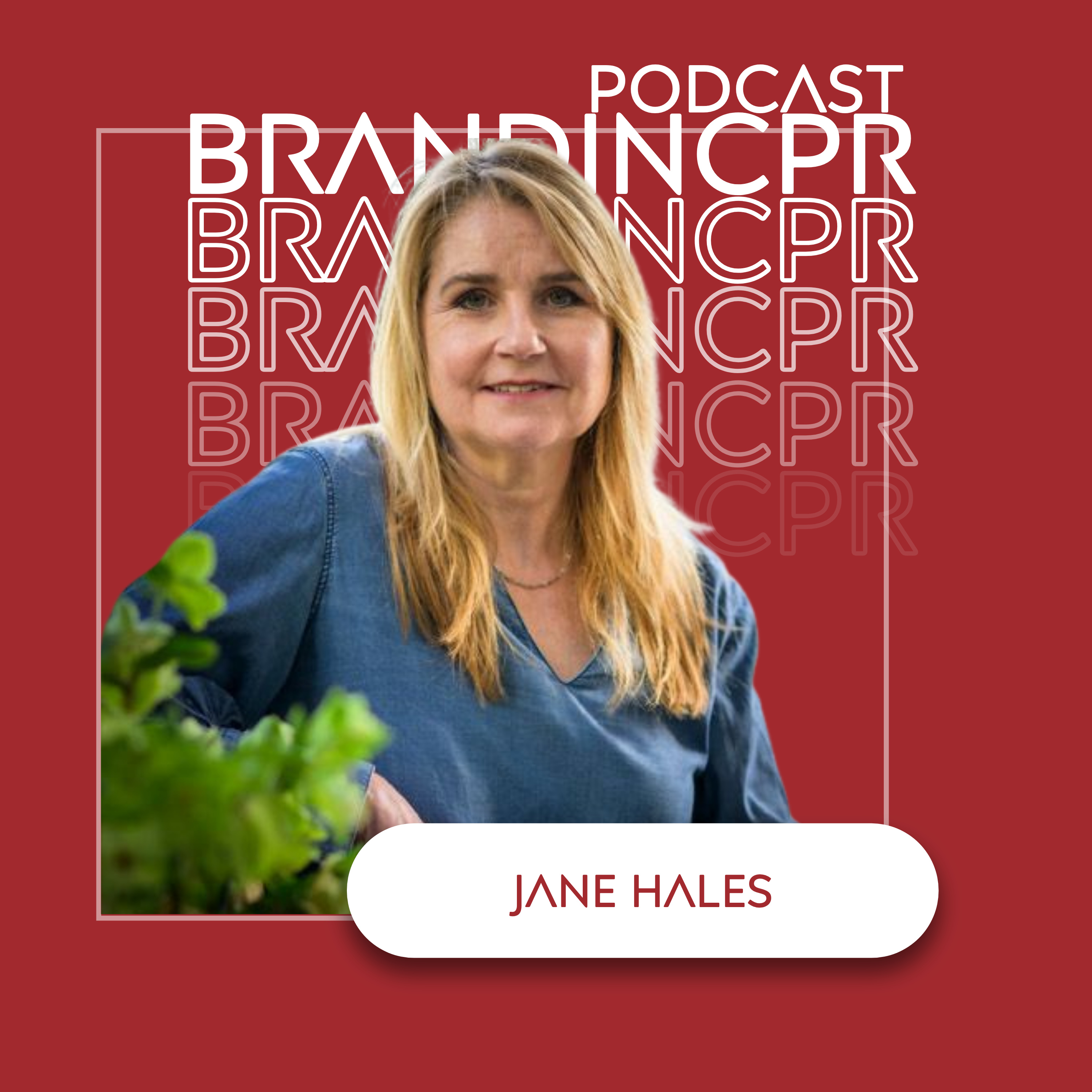 She's Seen 30 Years of Founder Breakups. Here's What You're Missing. Ft. Jane Hales episode artwork