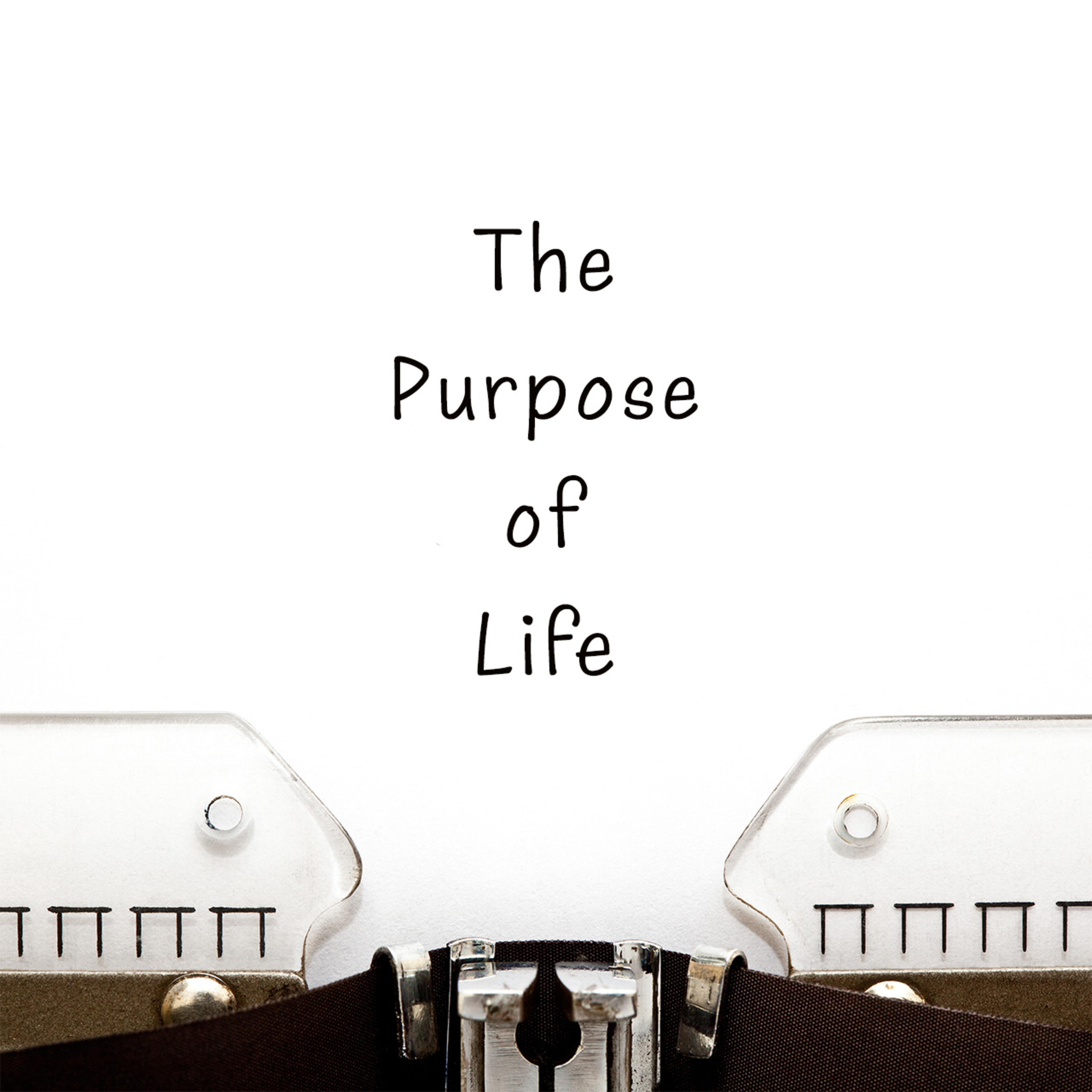 The Purpose of Life episode artwork