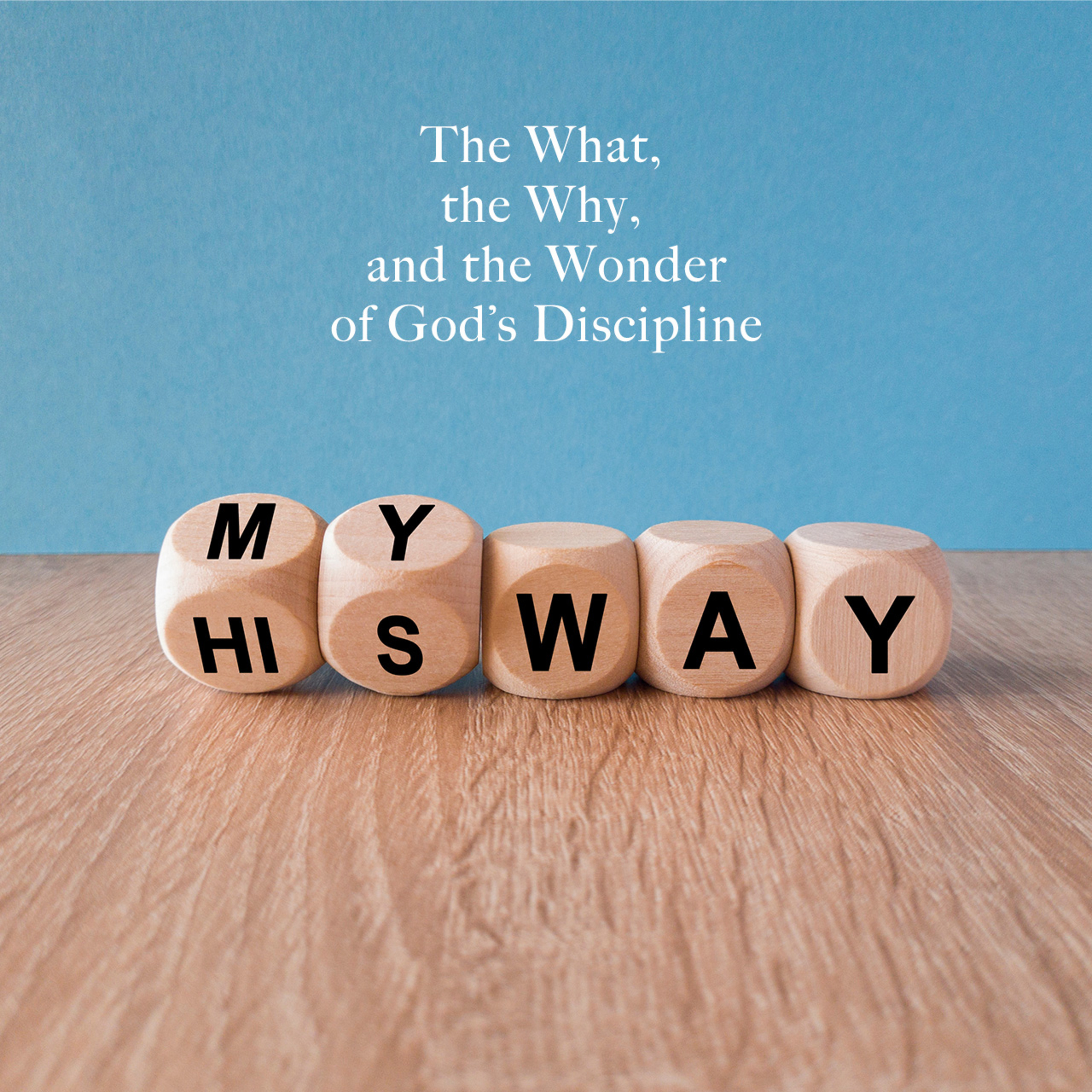 The What, the Why, and the Wonder of God’s Discipline episode artwork