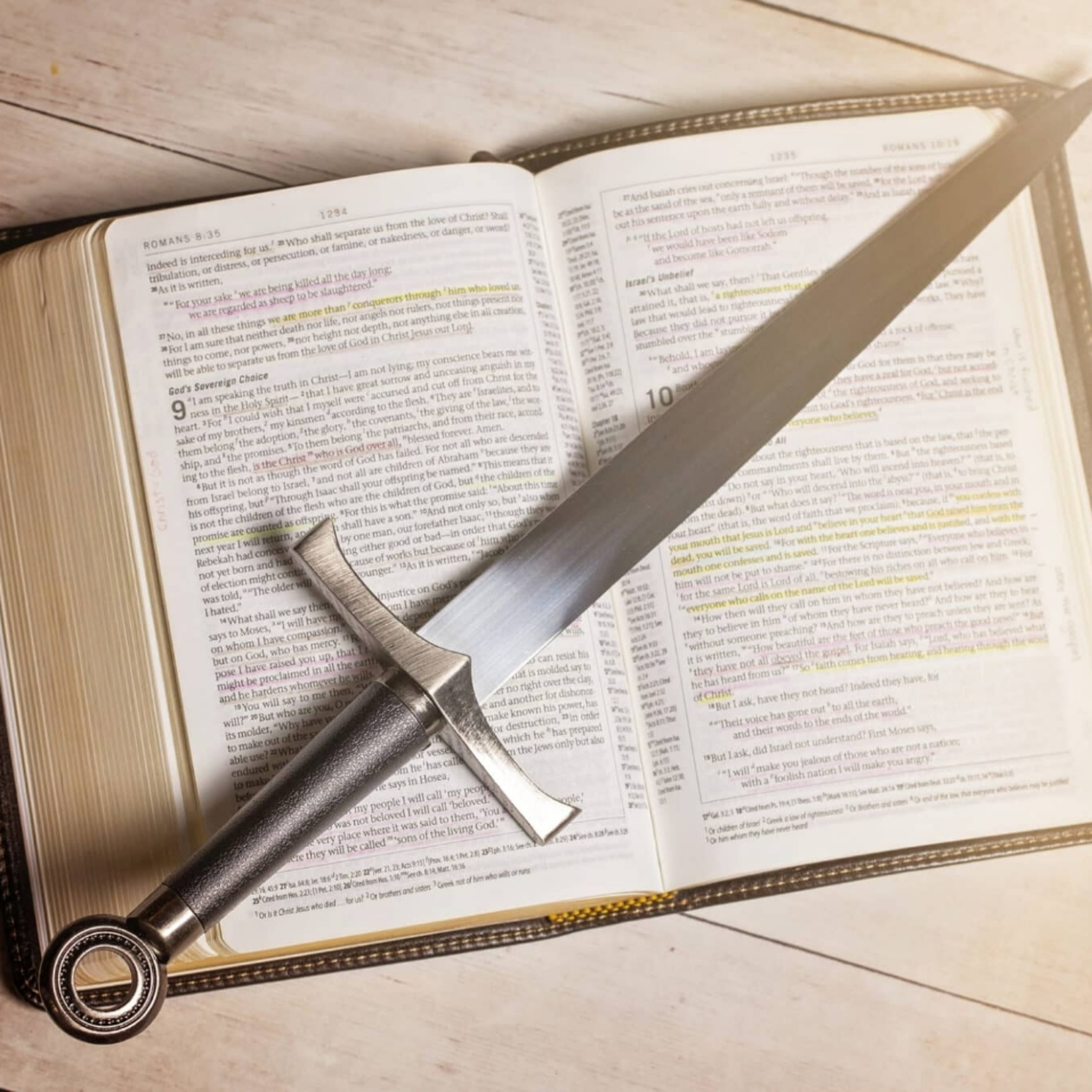 Reclaiming the lost sheep (Matthew 18:15-35) episode artwork