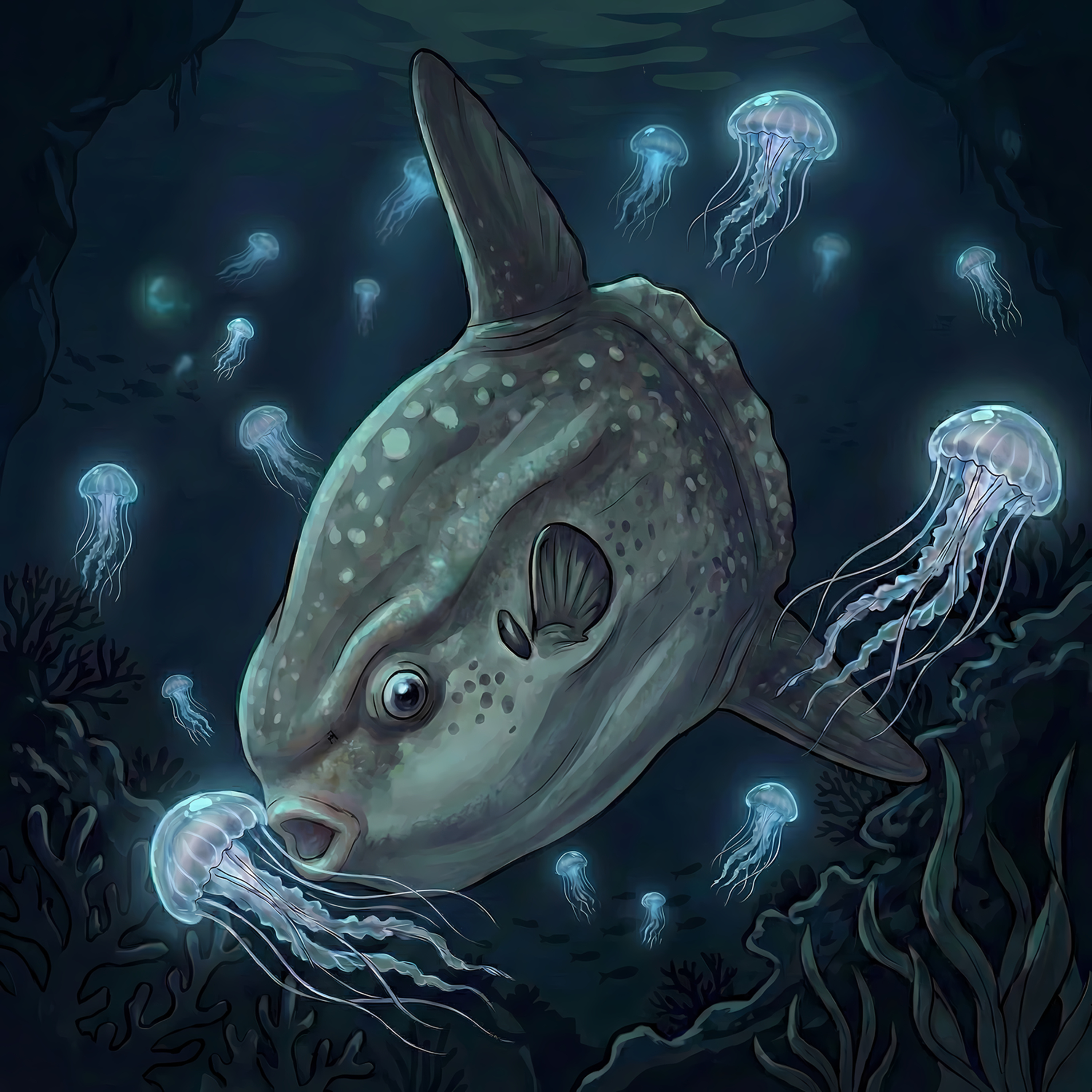 🐟 The Swimming Head episode artwork