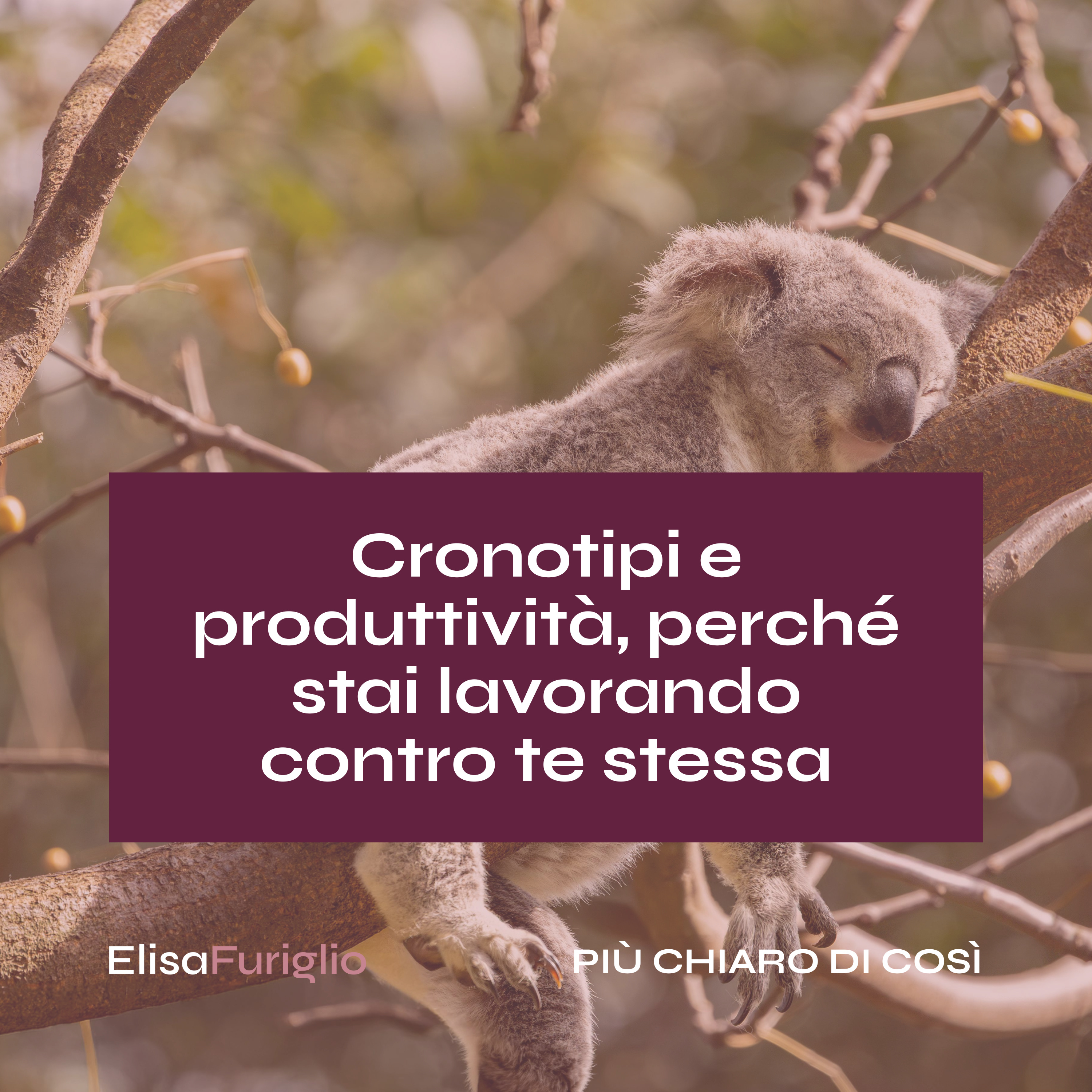 Più chiaro di così