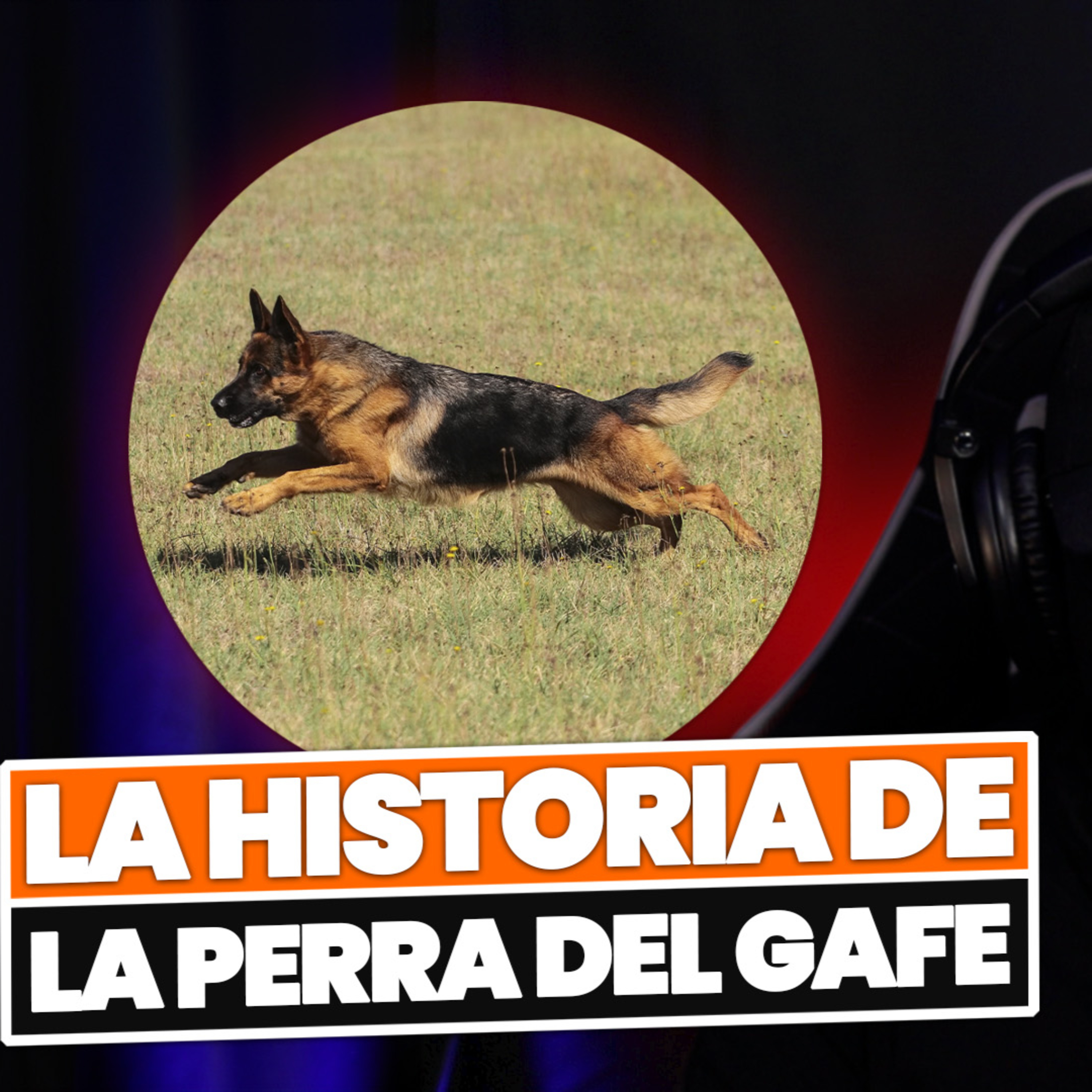 TRAS LAS LINEAS