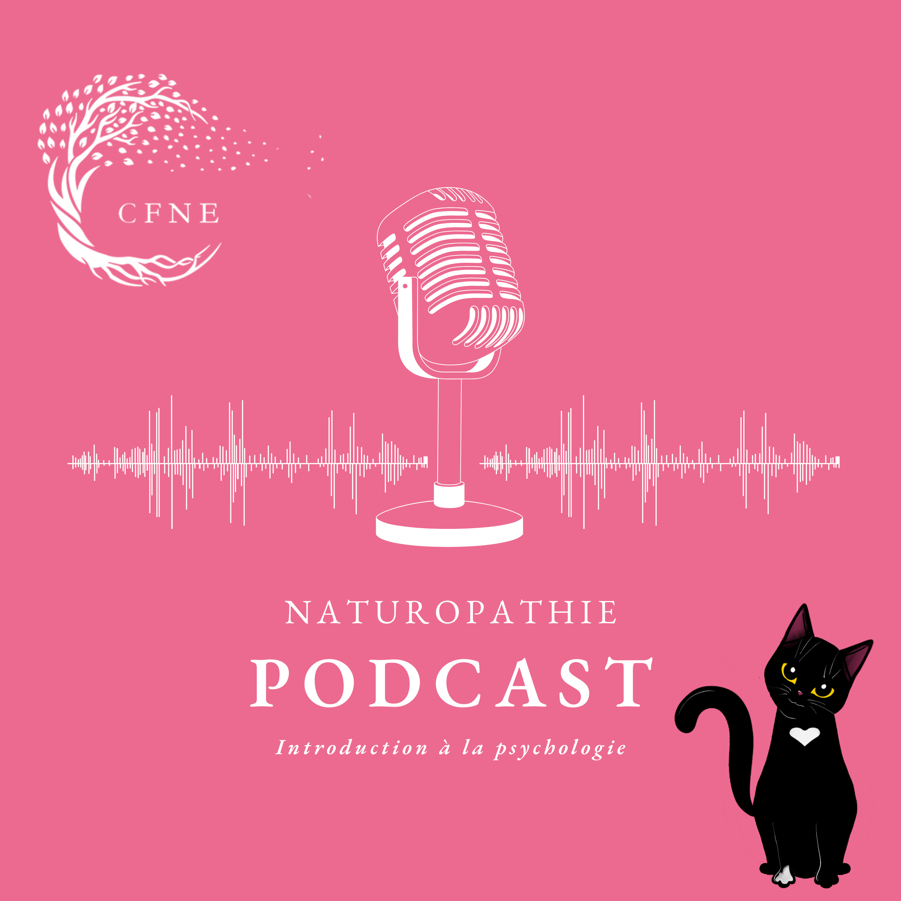 Introduction à la Psychologie episode artwork