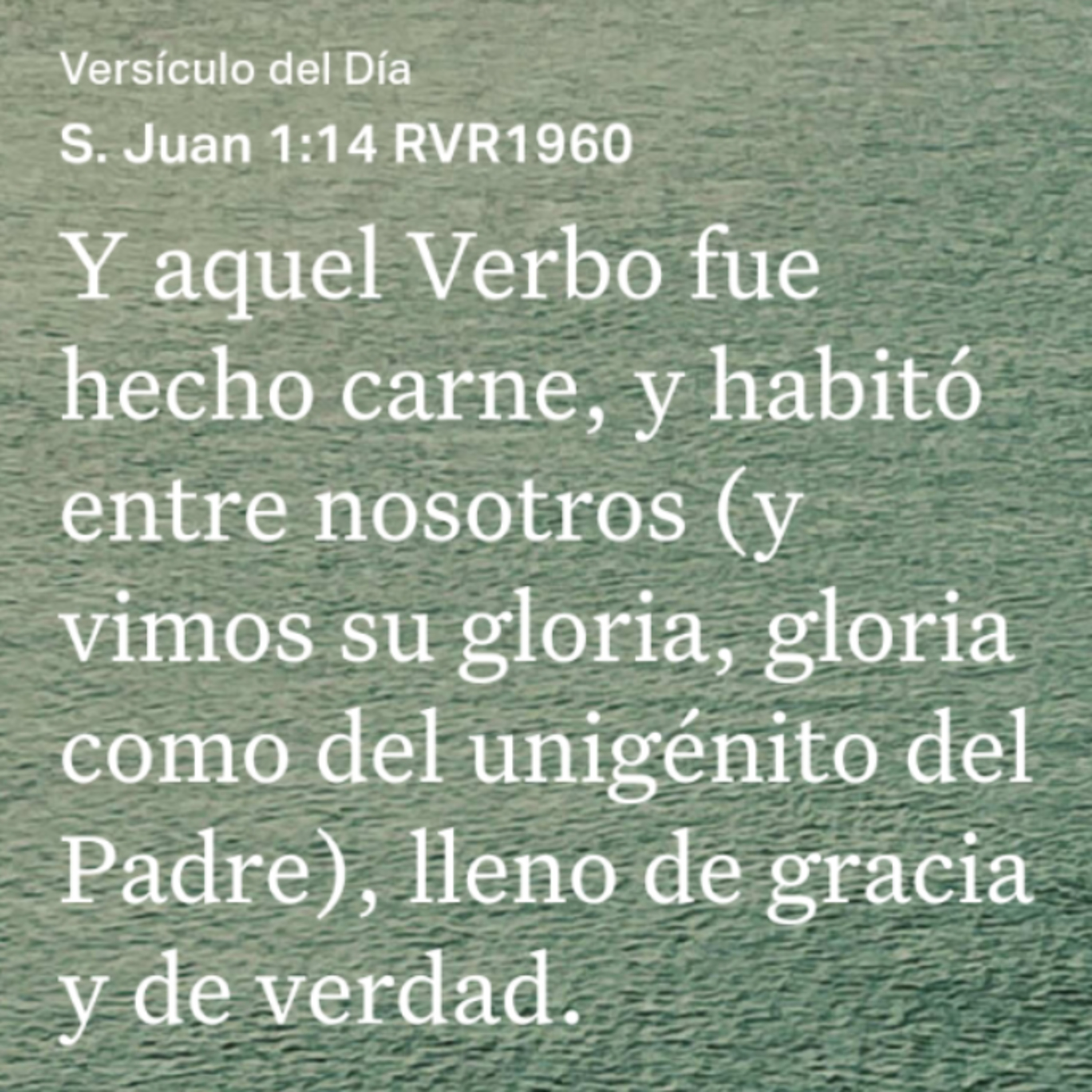 Un Versículo al Día y Algo Más