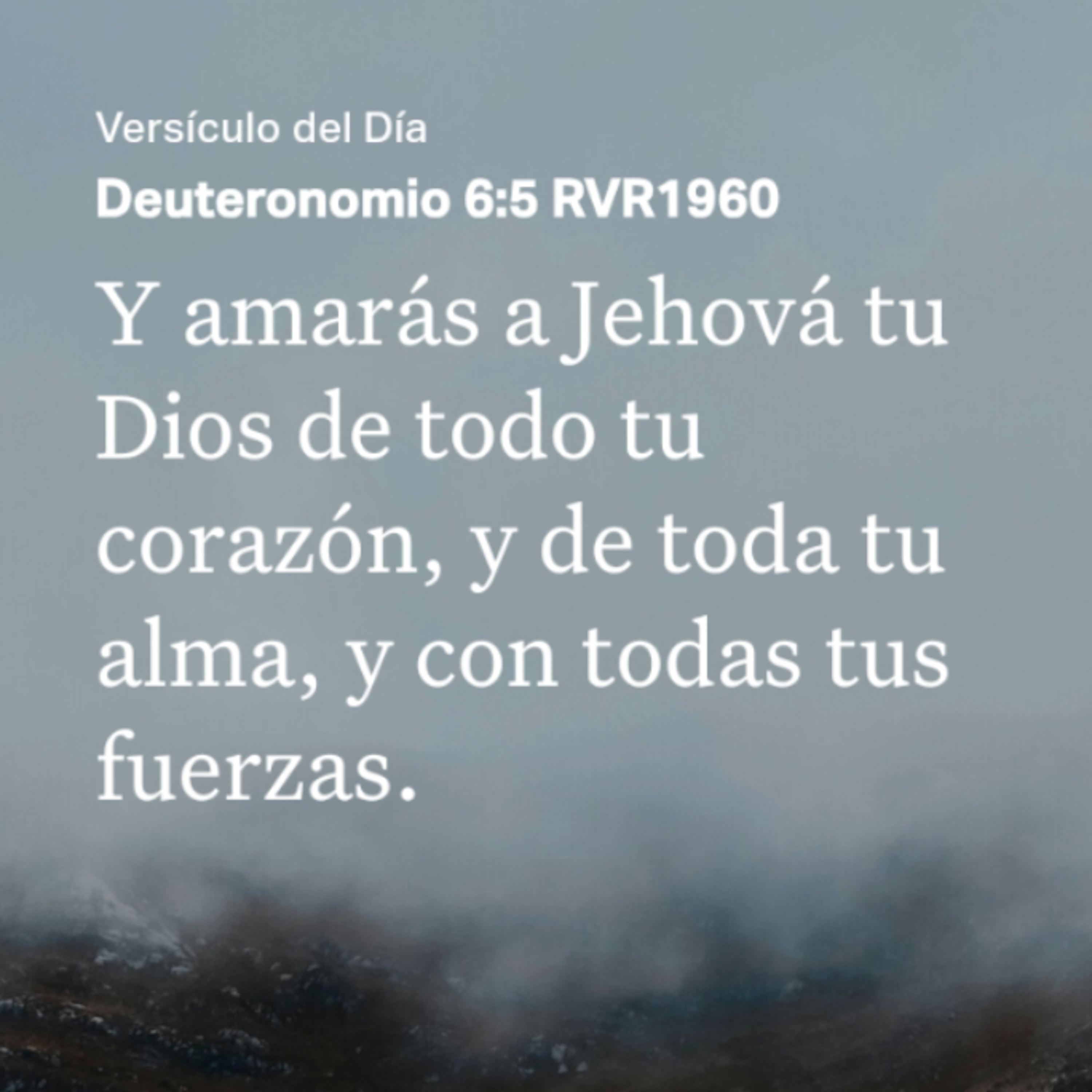 Un Versículo al Día y Algo Más
