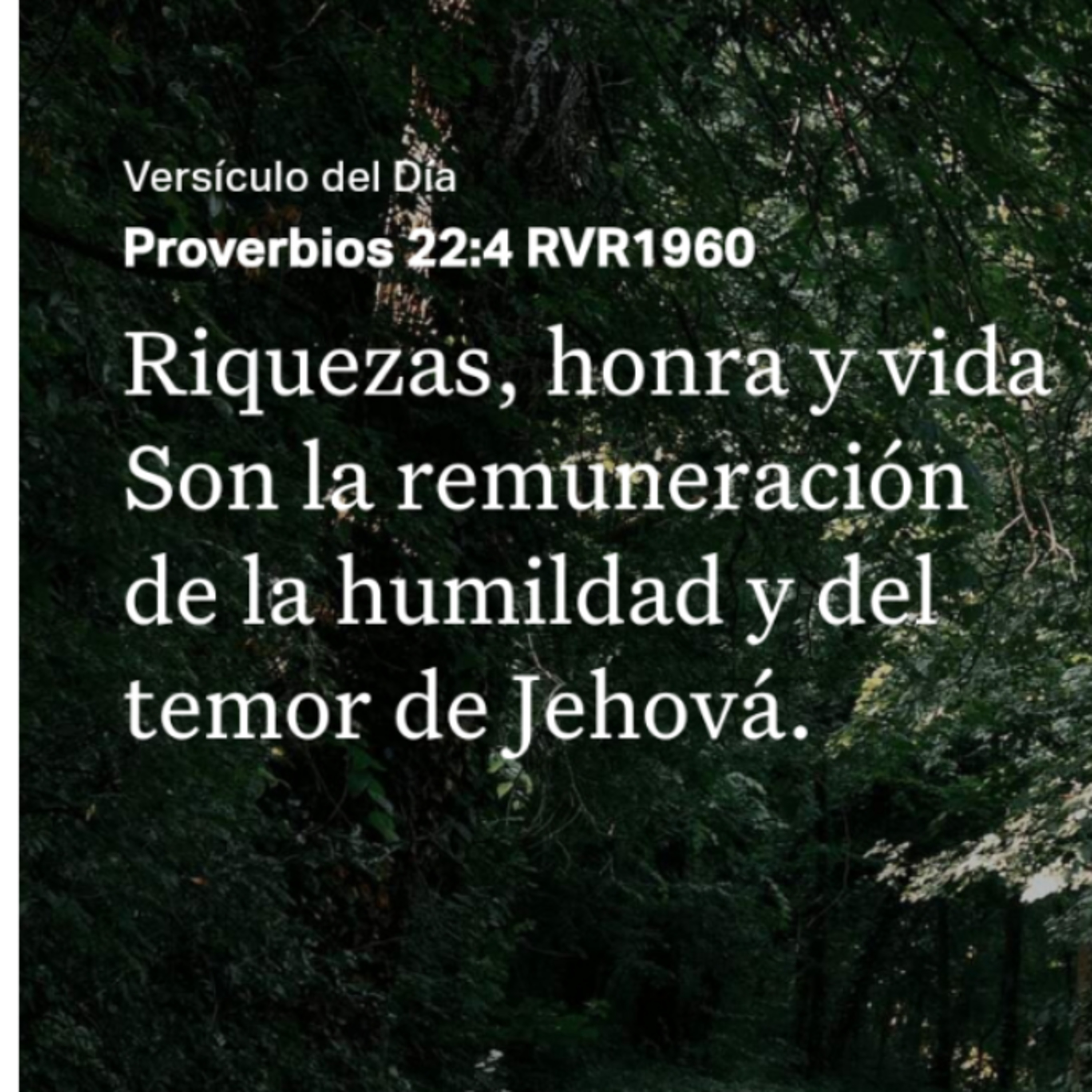 Un Versículo al Día y Algo Más
