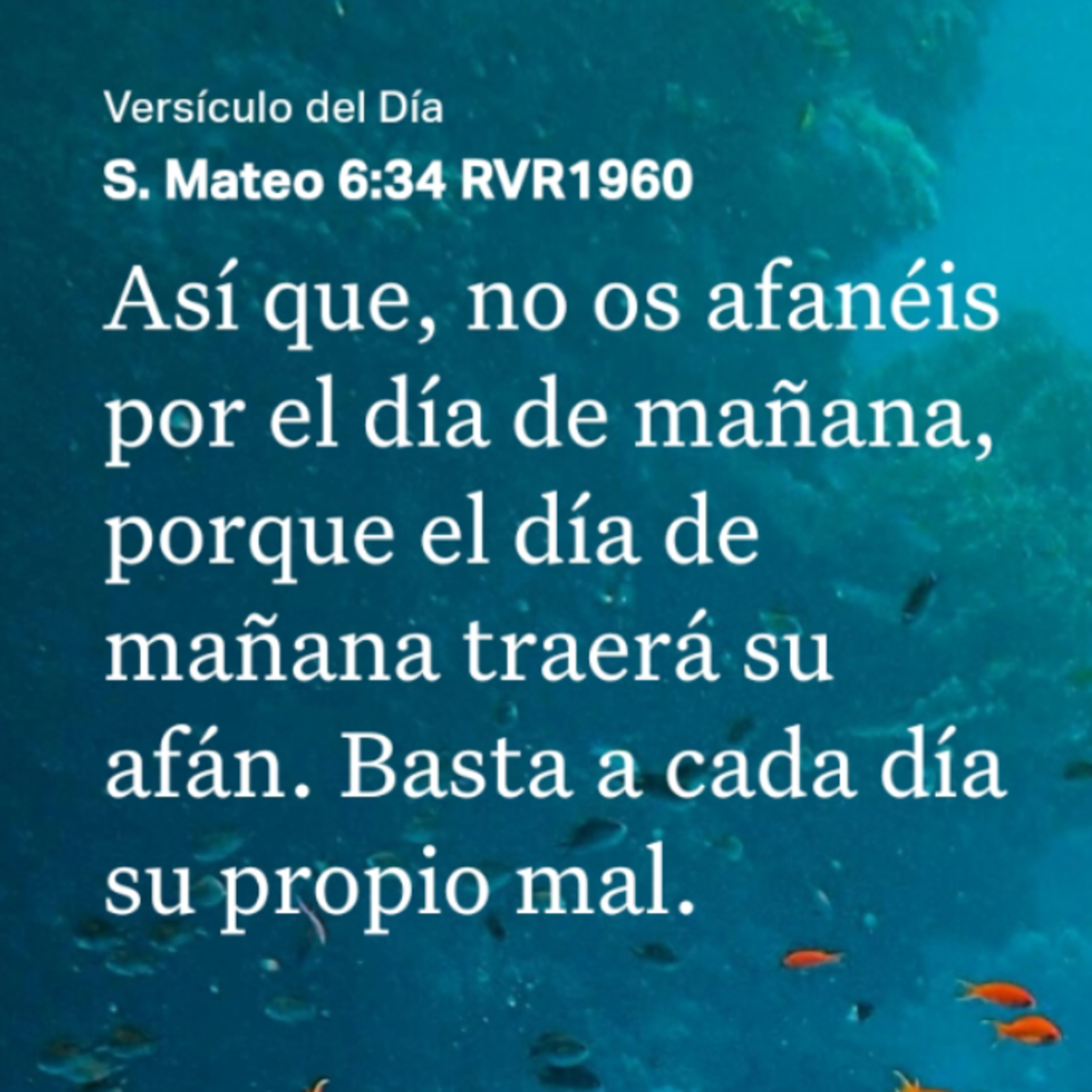 Un Versículo al Día y Algo Más