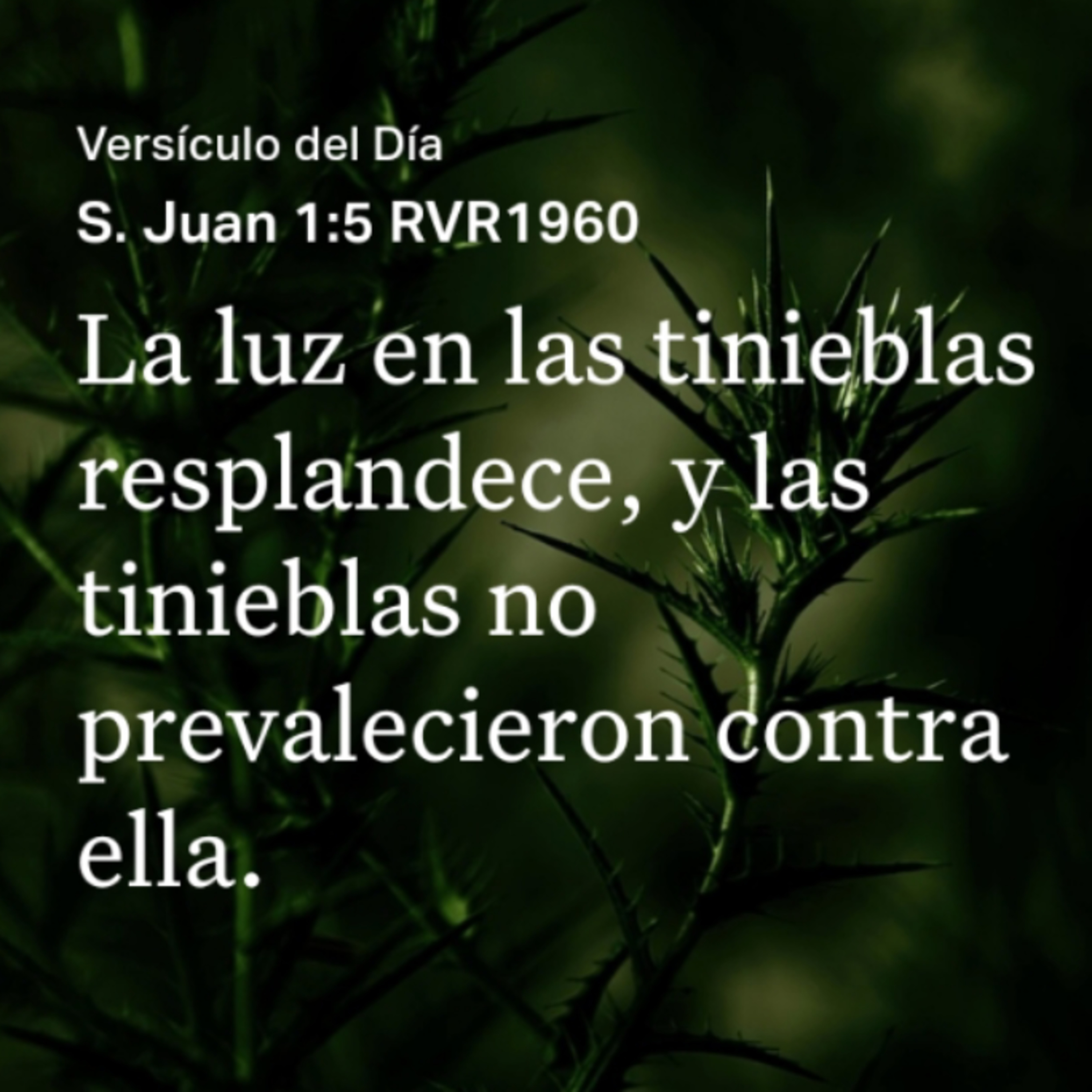 Un Versículo al Día y Algo Más