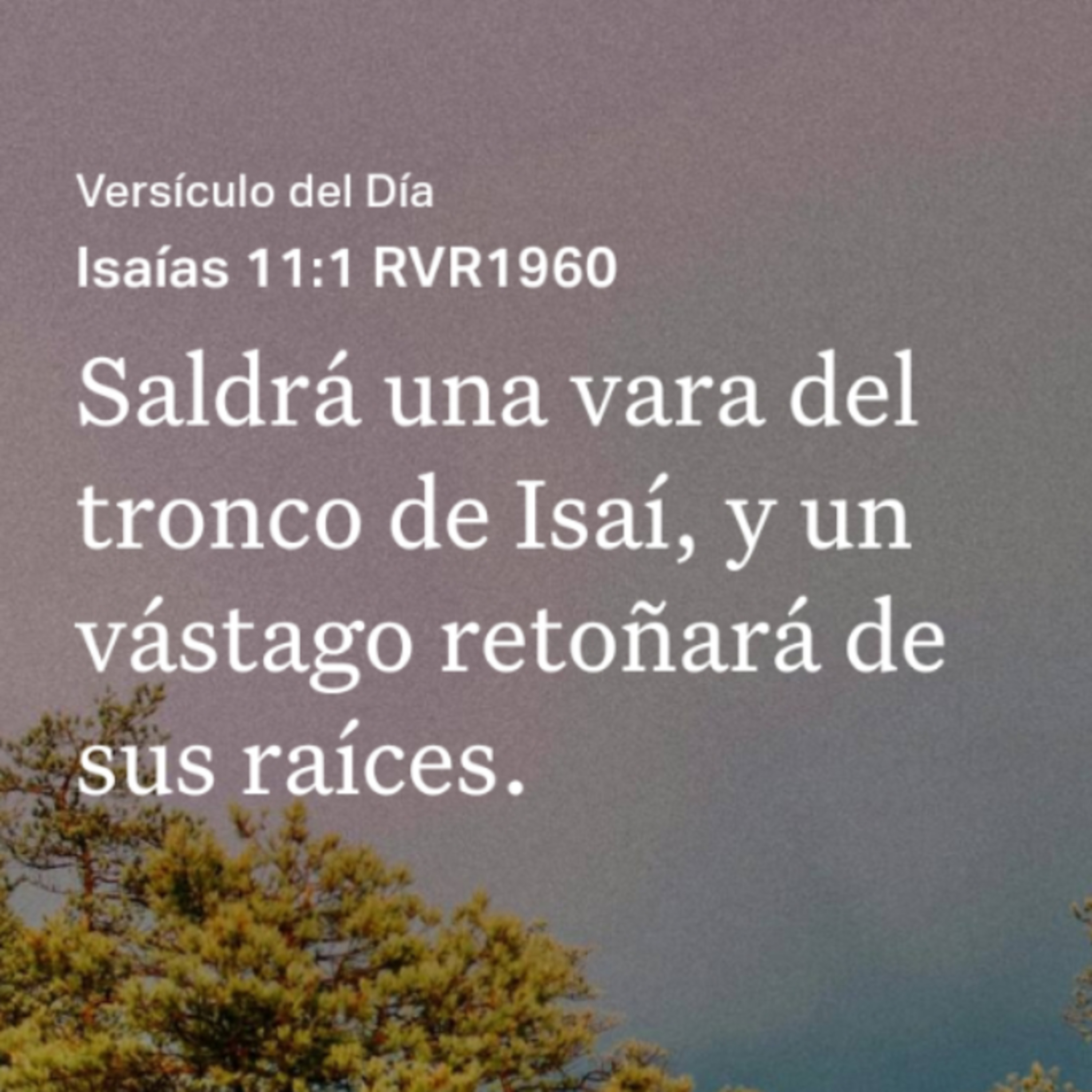 Un Versículo al Día y Algo Más