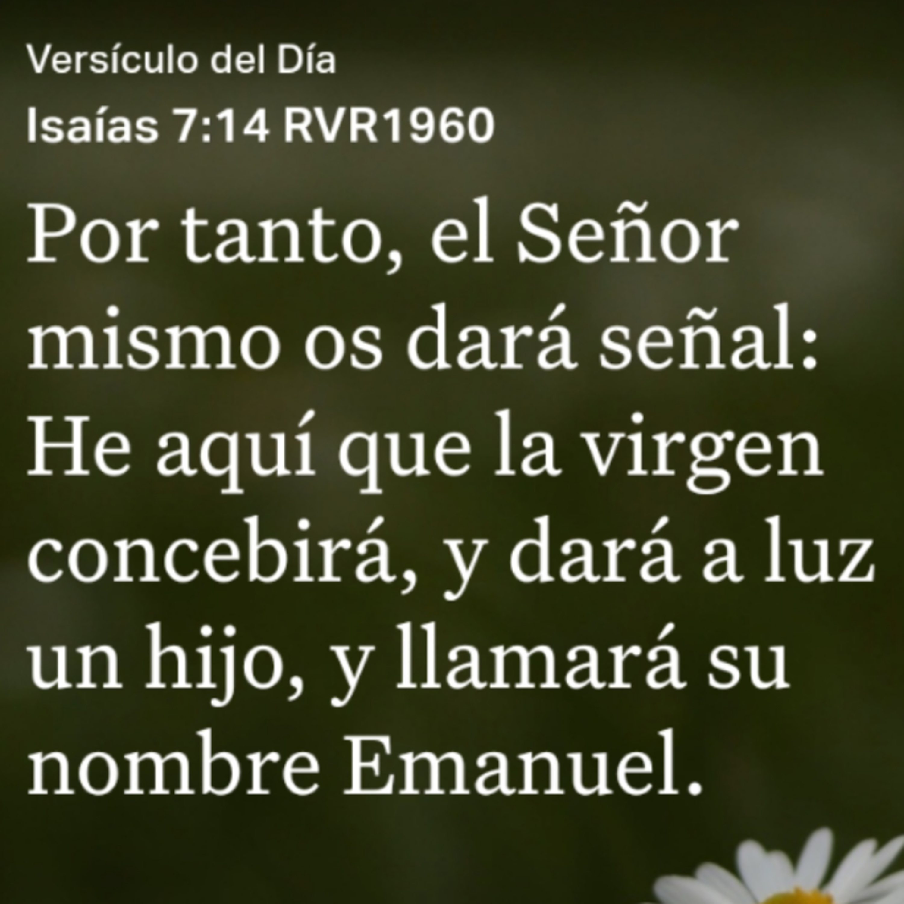 Un Versículo al Día y Algo Más