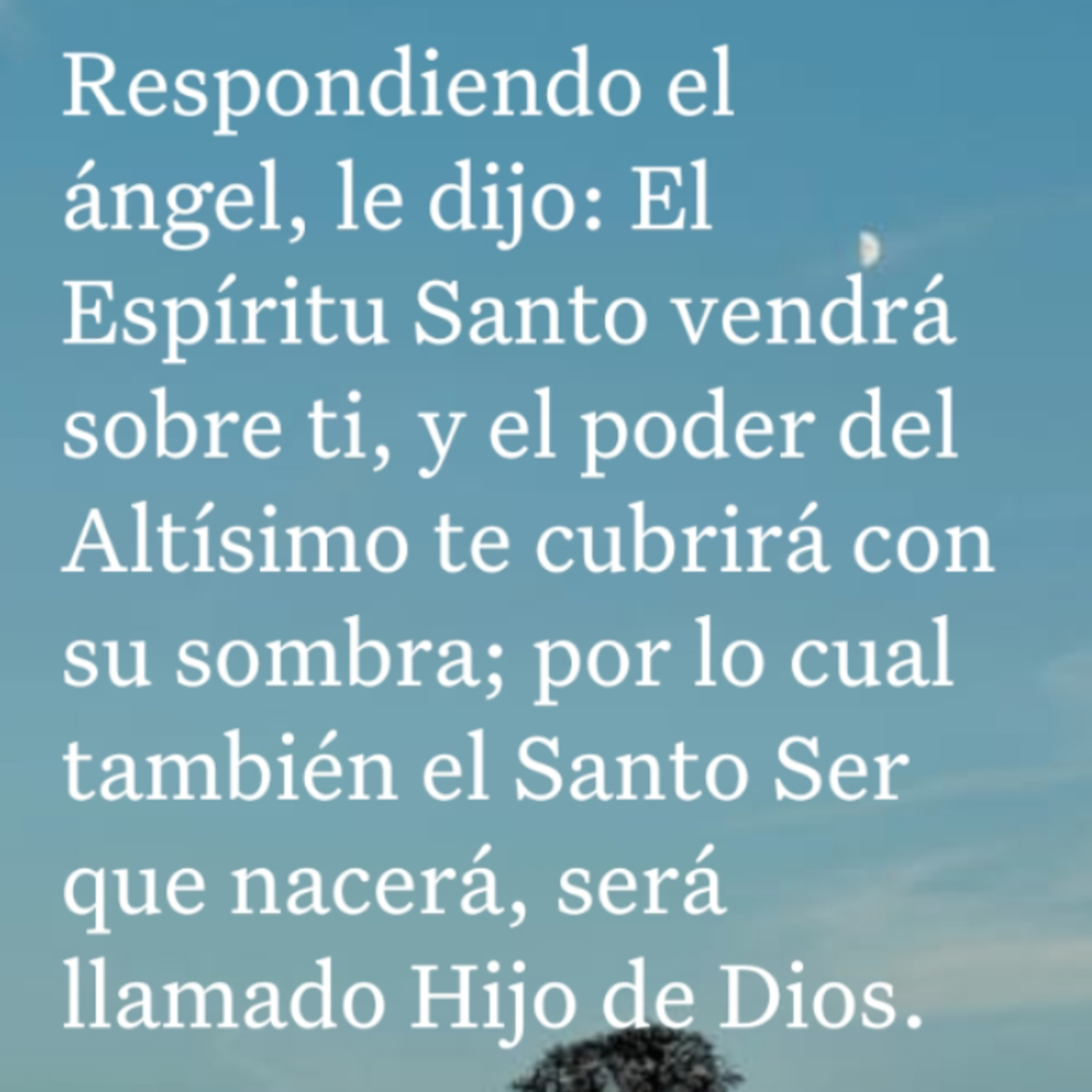 Un Versículo al Día y Algo Más