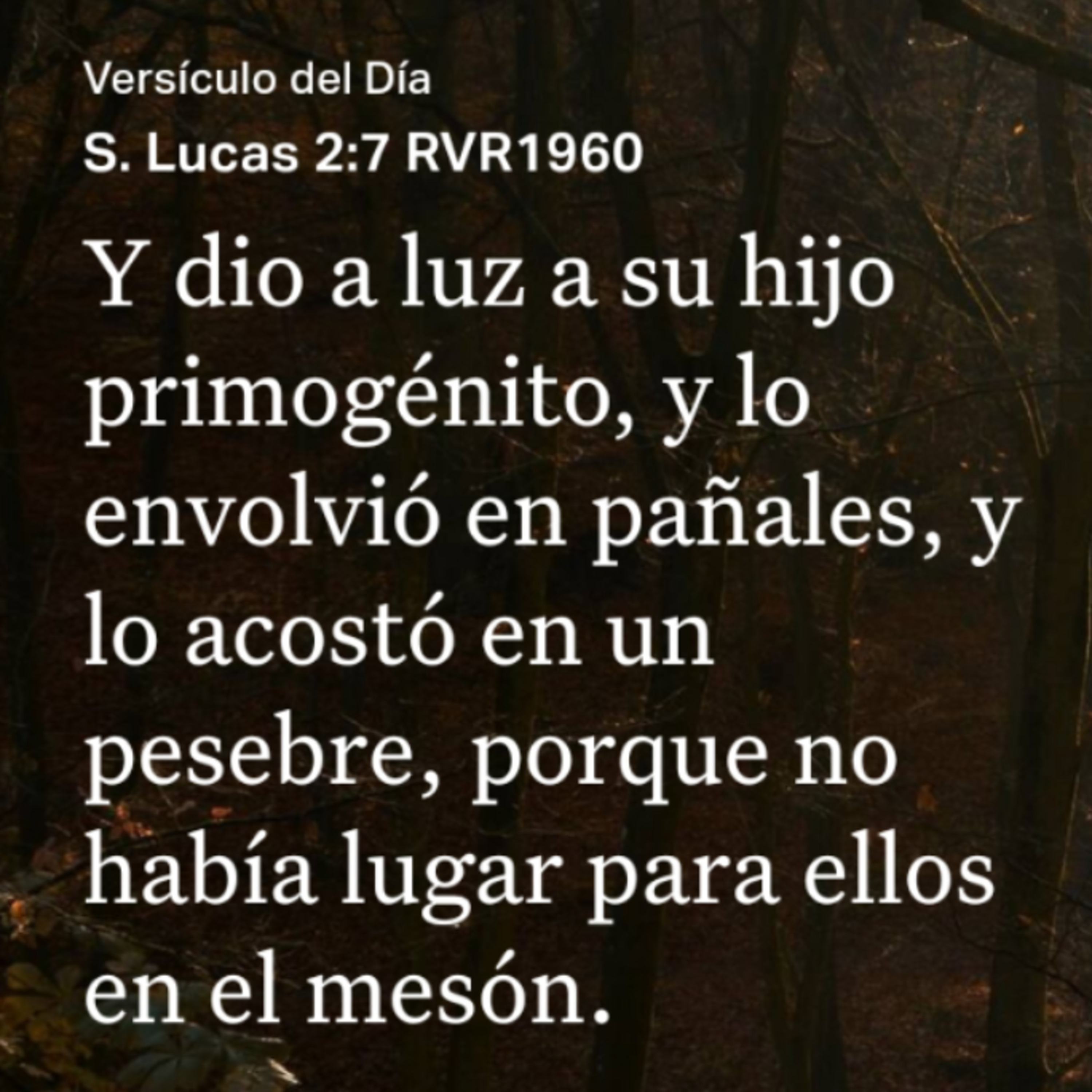 Un Versículo al Día y Algo Más