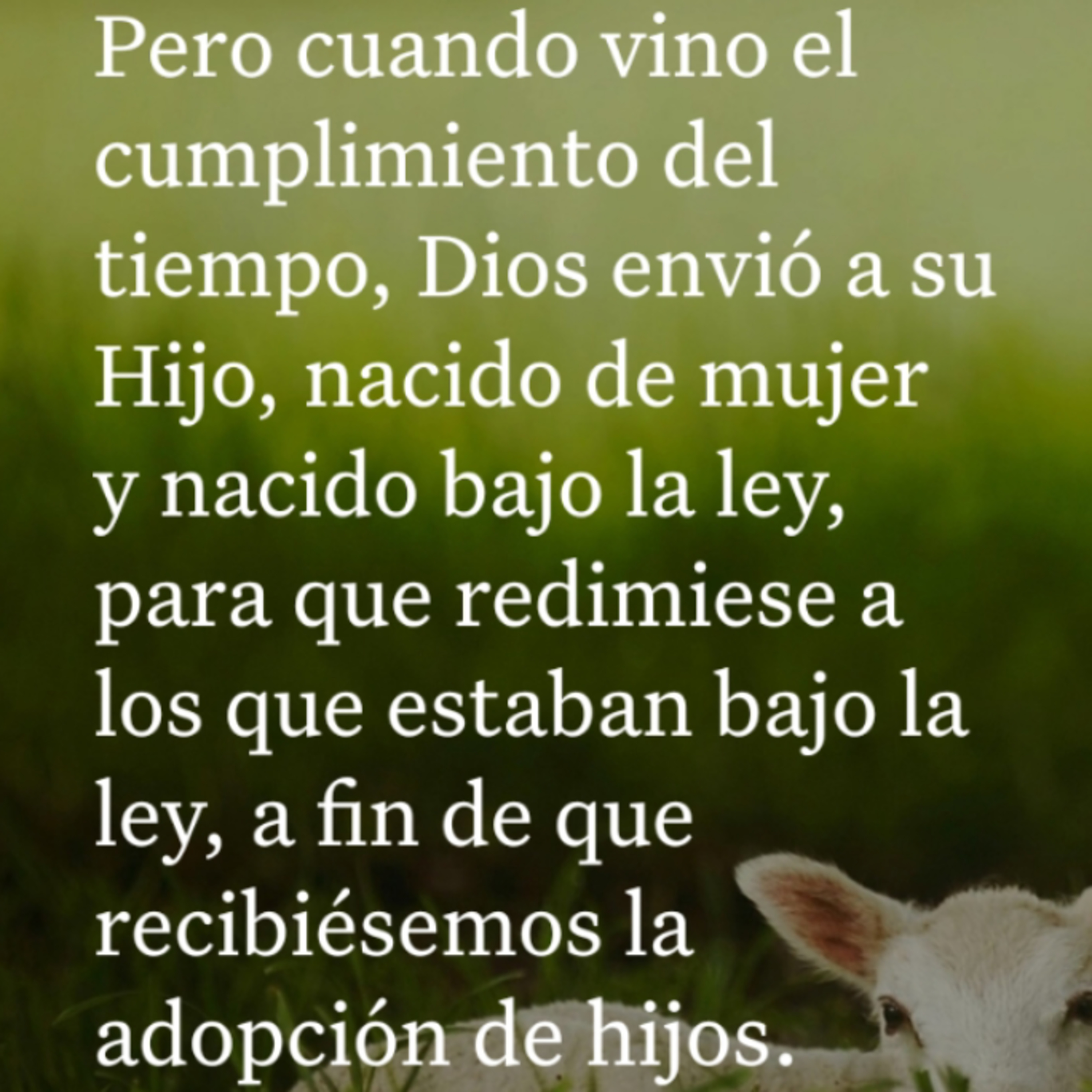 Un Versículo al Día y Algo Más